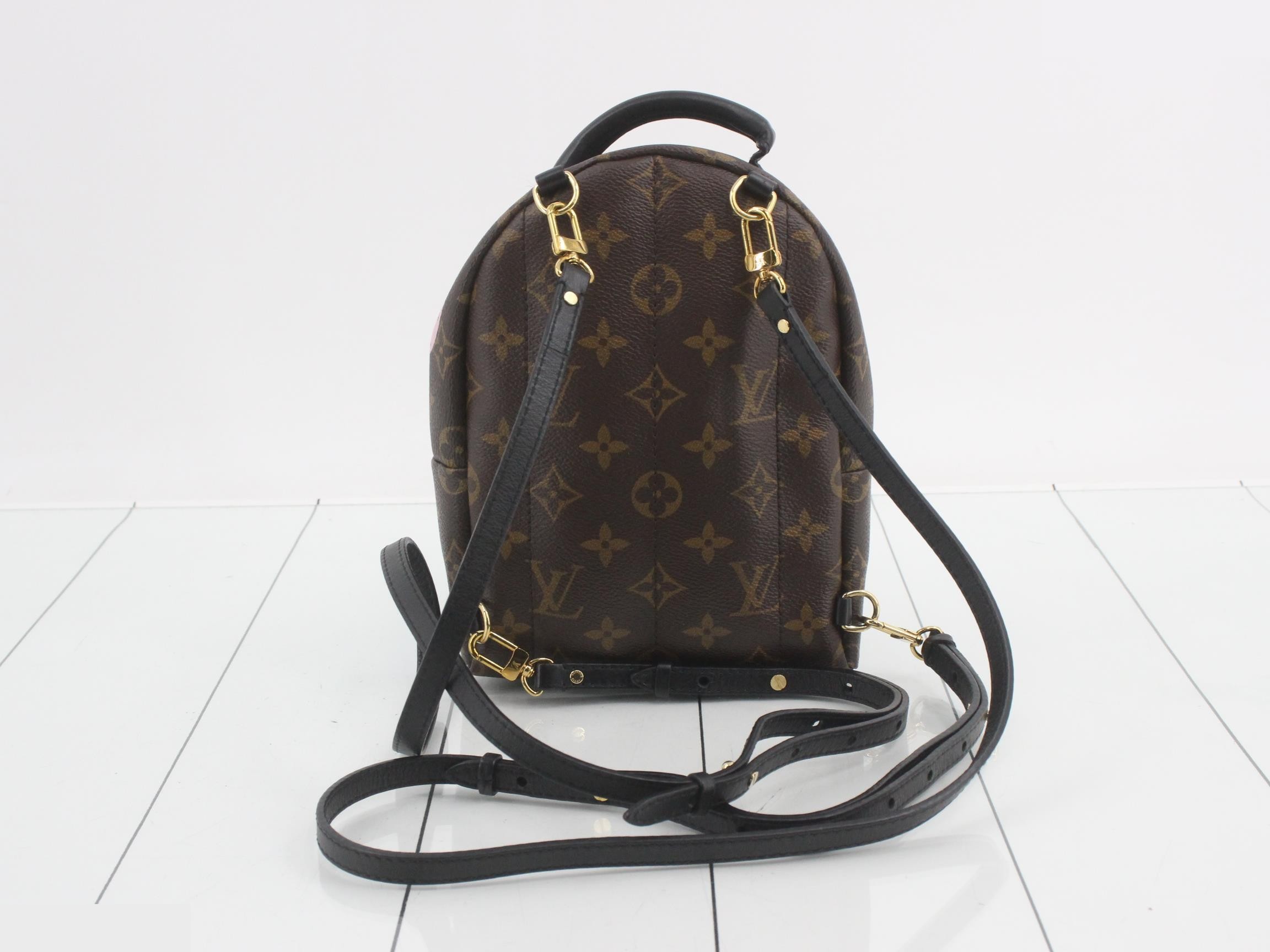 Monogram World Tour Palm Springs Backpack MINI — view 2