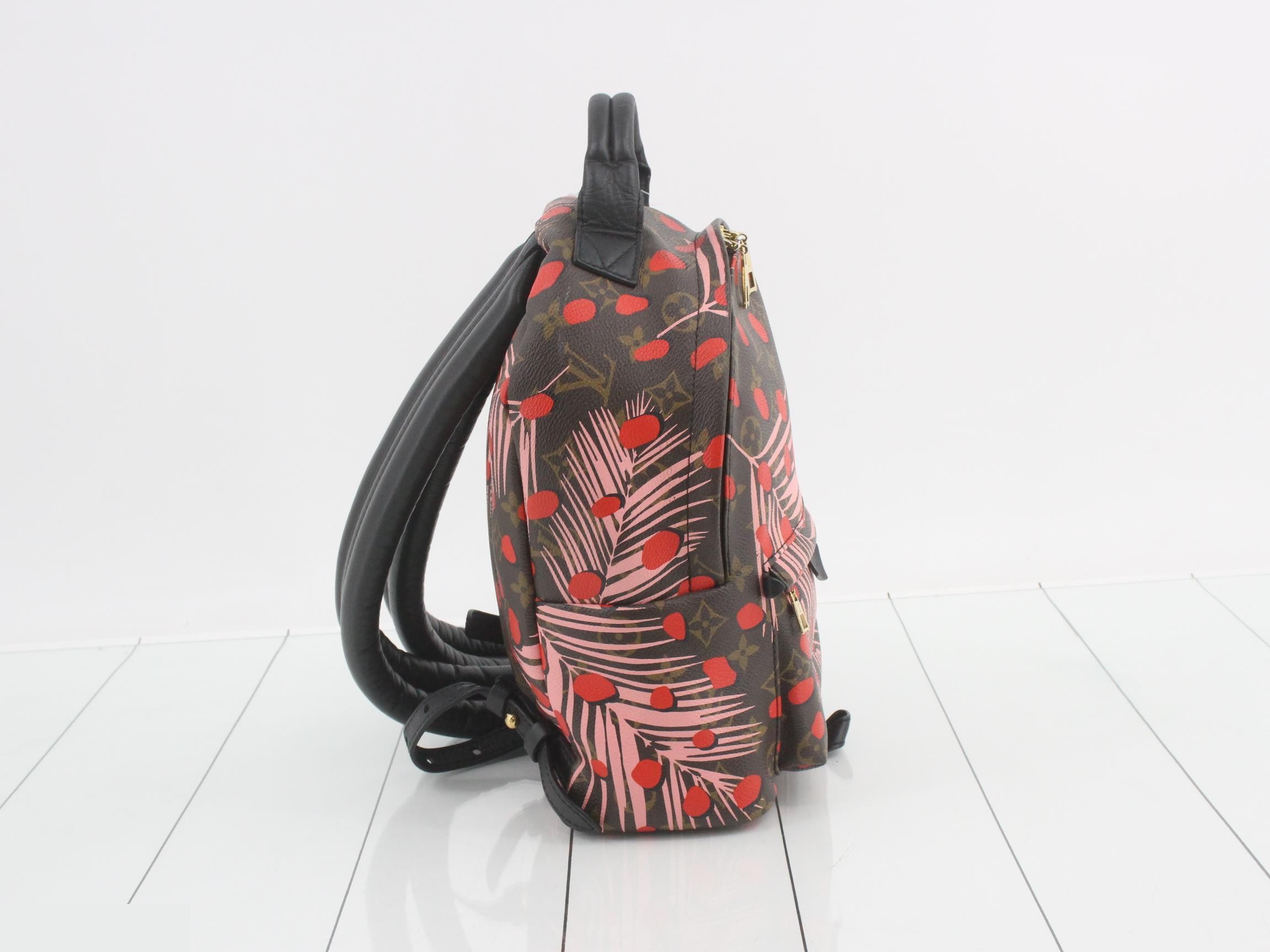 Monogram Jungle Dot Palm Springs Backpack PM — view 4