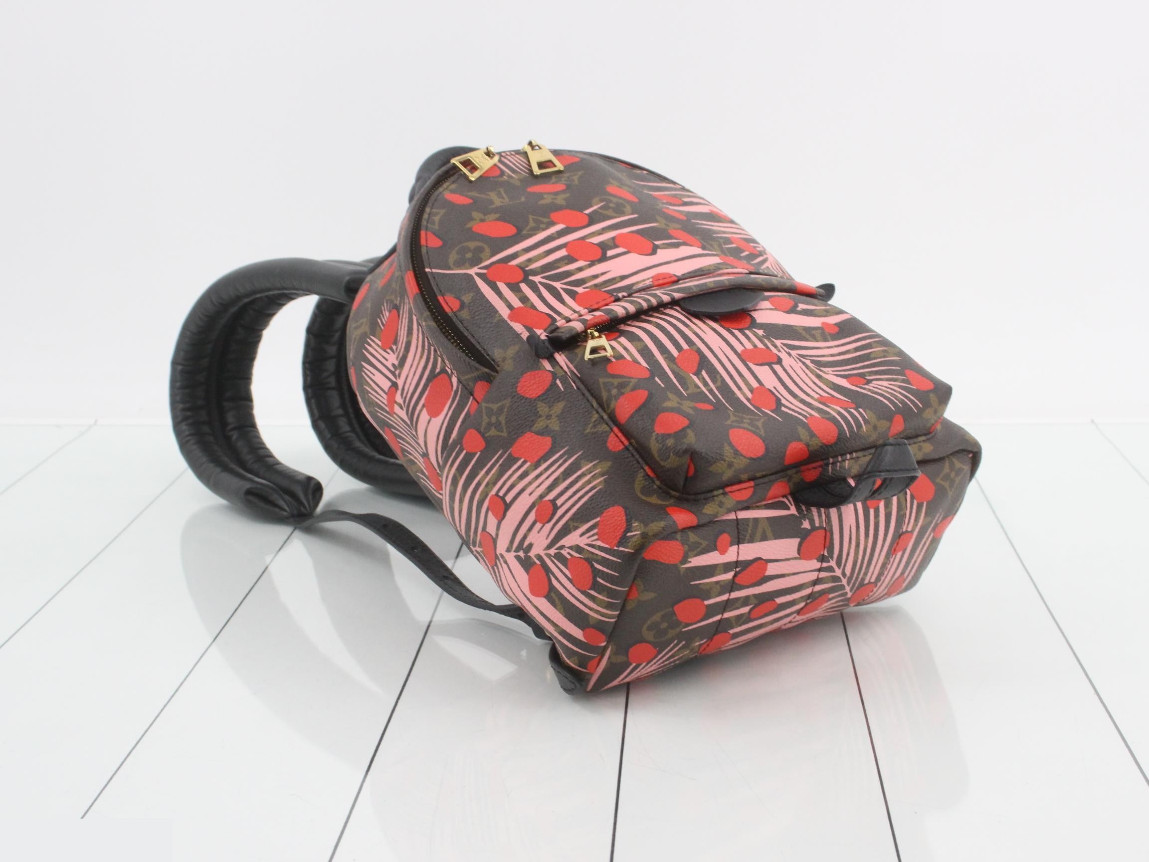 Monogram Jungle Dot Palm Springs Backpack PM — view 5