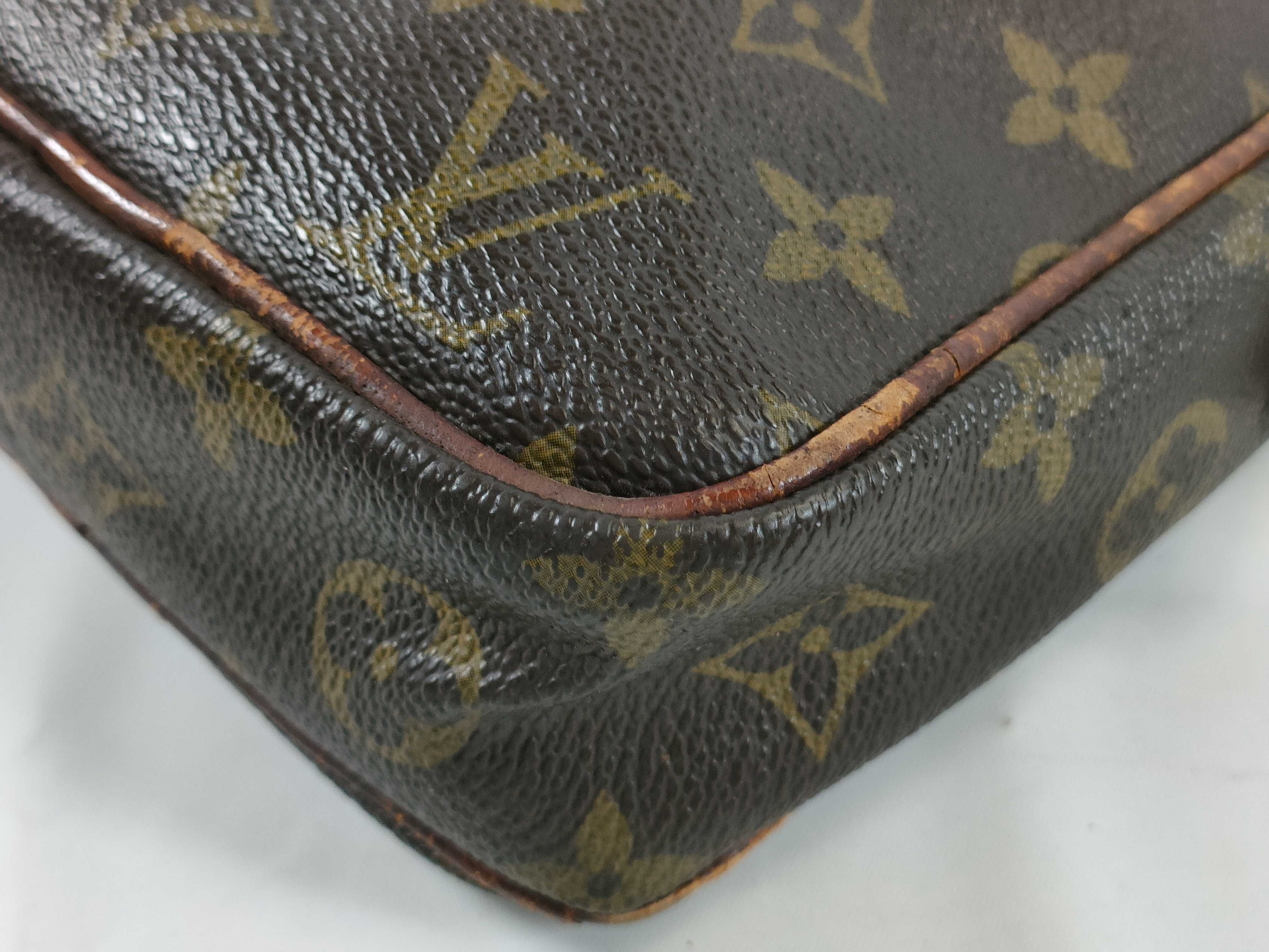 Monogram Danube Shoulder Bag — view 6