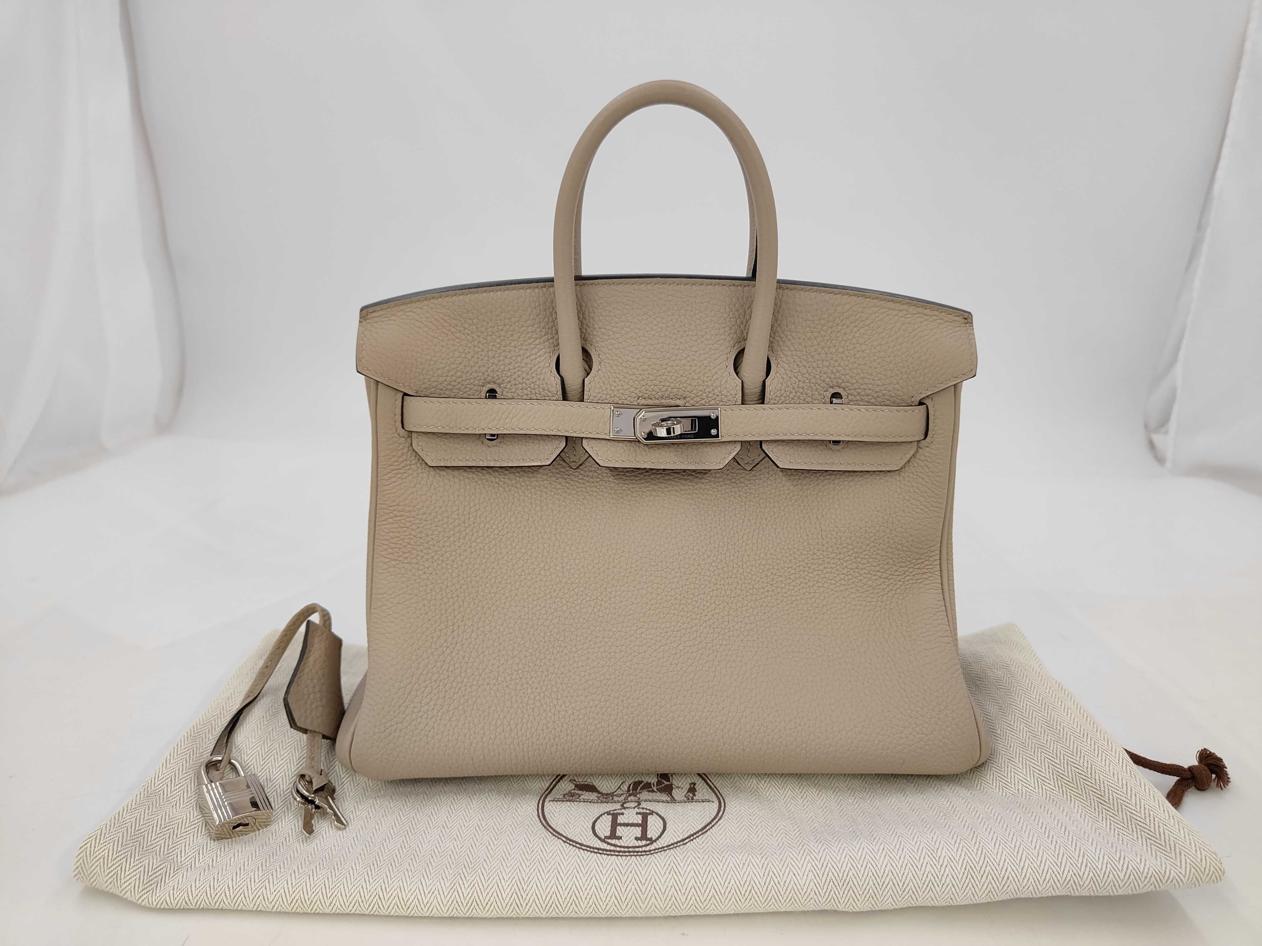 Birkin 25 Togo Leather Handbag with Silver Hardware