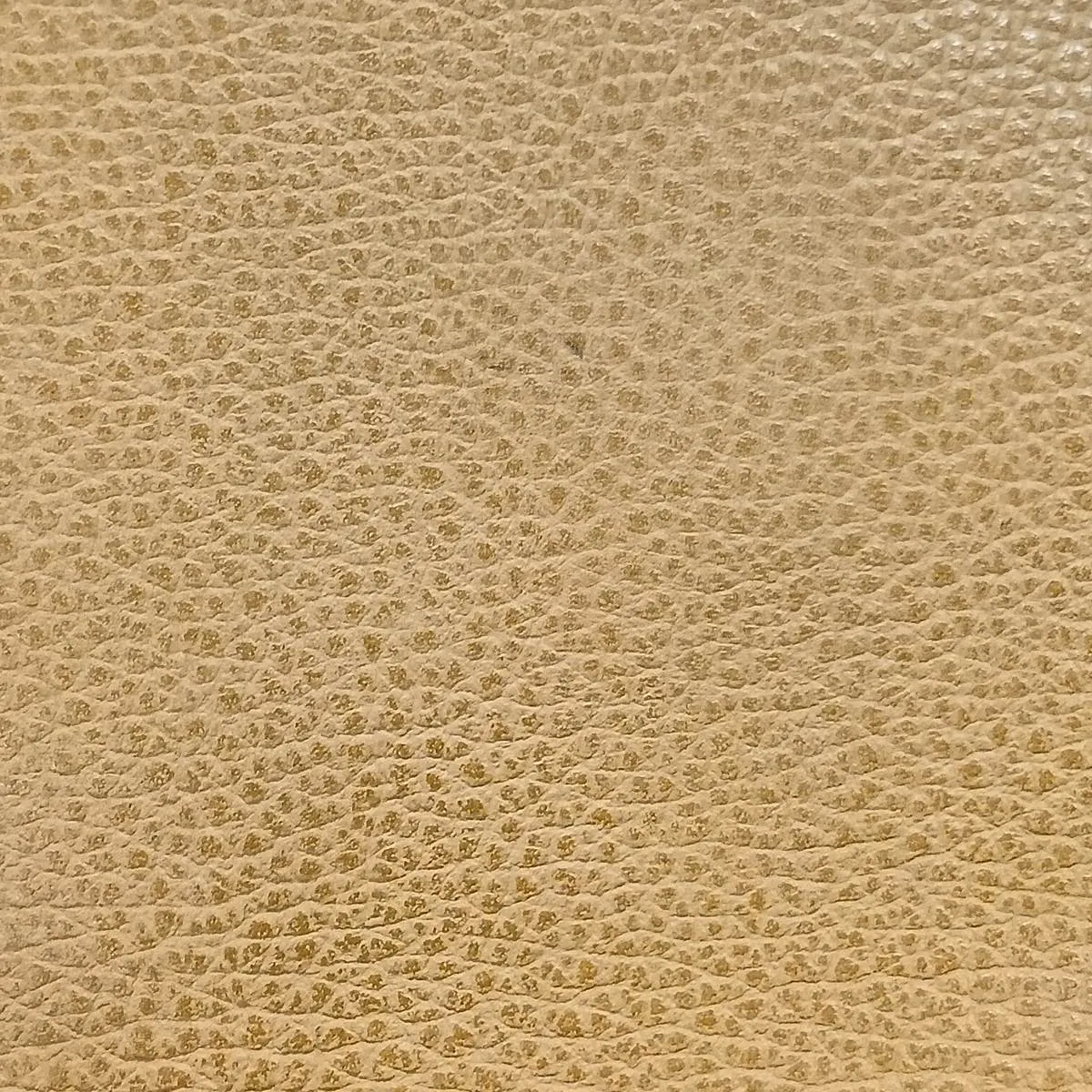 Sac Colorado MM Vache Liéger x Toile H Beige Silver Hardware I: 2005 — view 12