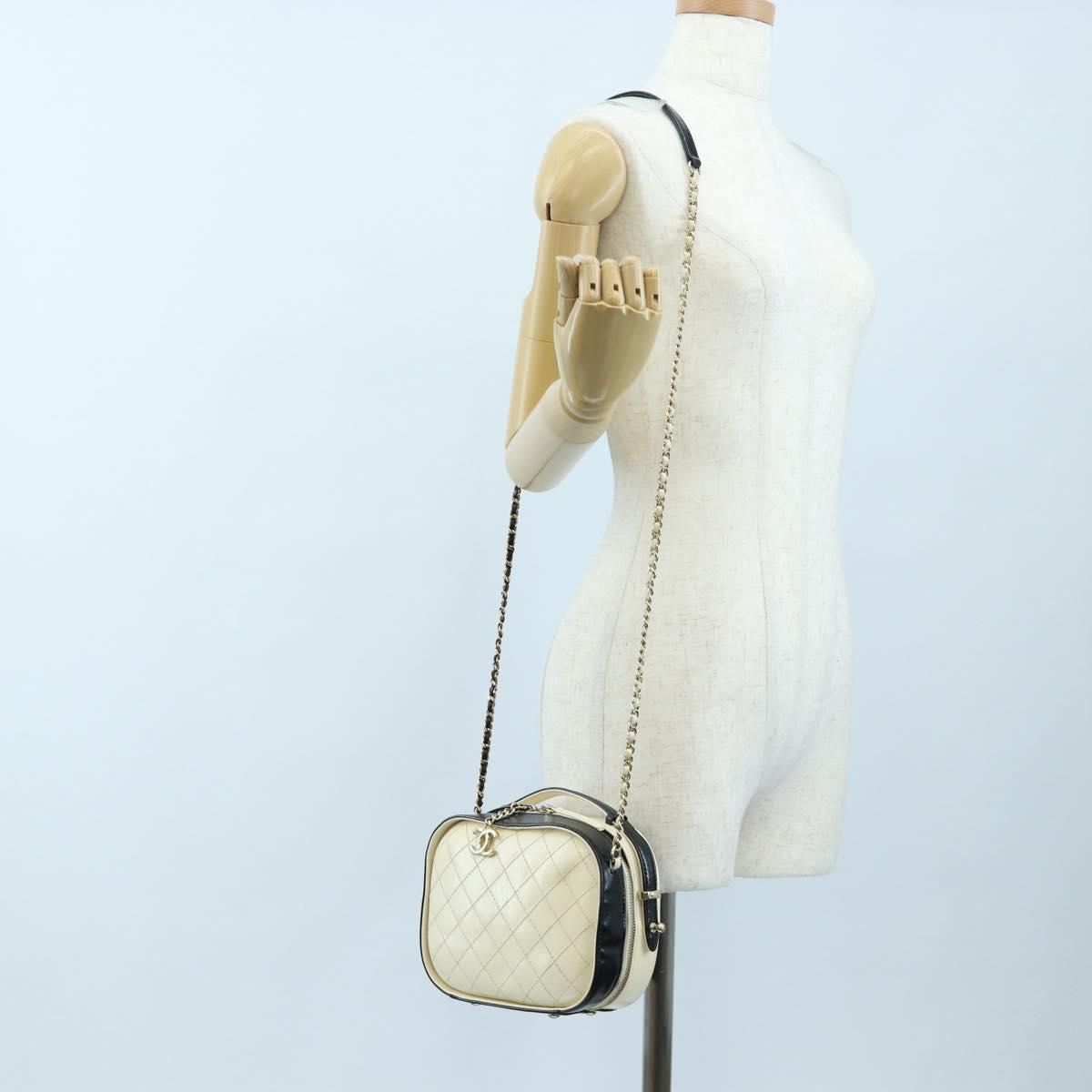 Small CC Quilted Crumpled Calfskin Vanity Case — view 27
