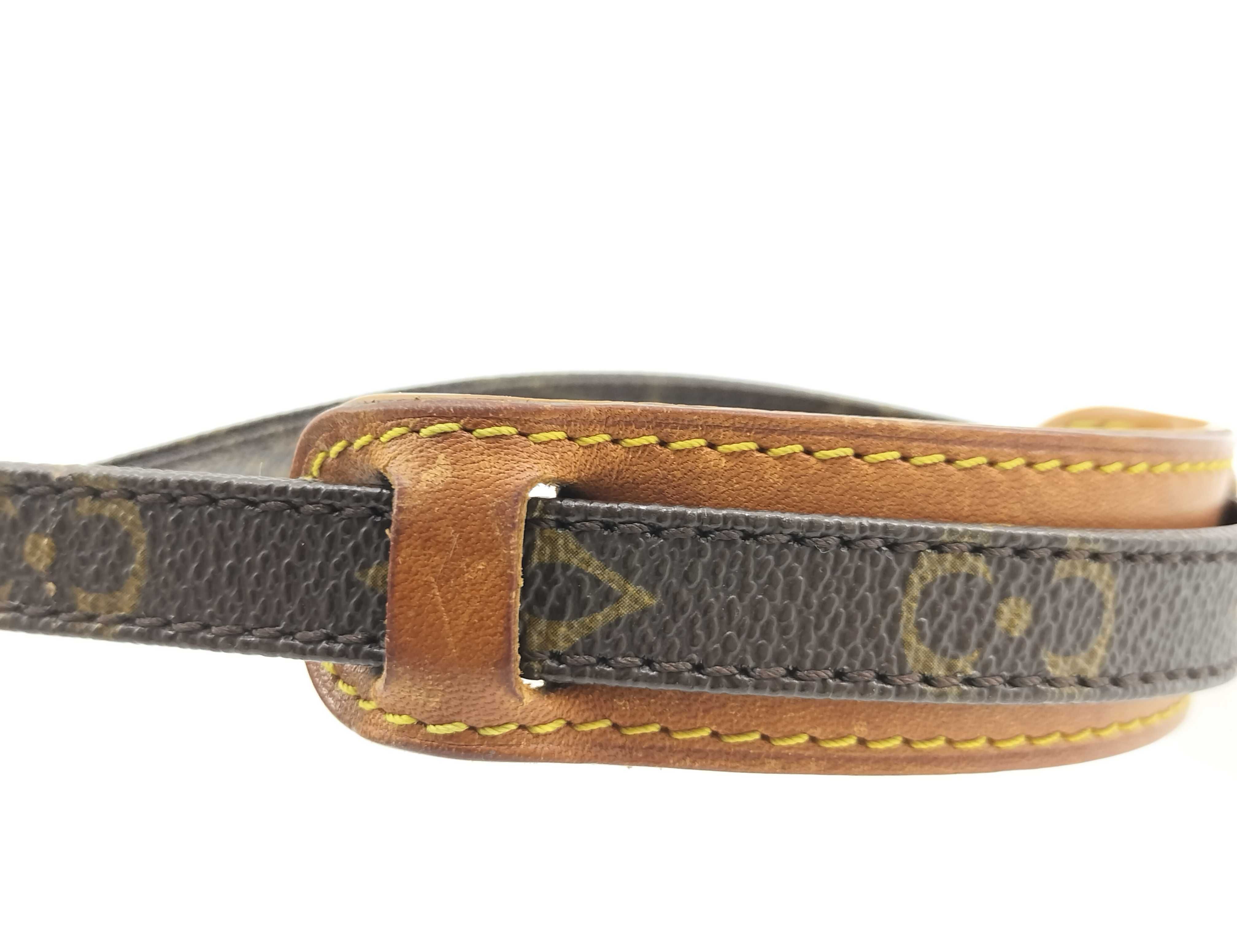 Monogram Louis Vuitton Mini Amazon Shoulder Bag M45238 Monogram Shoulder Bag — view 7