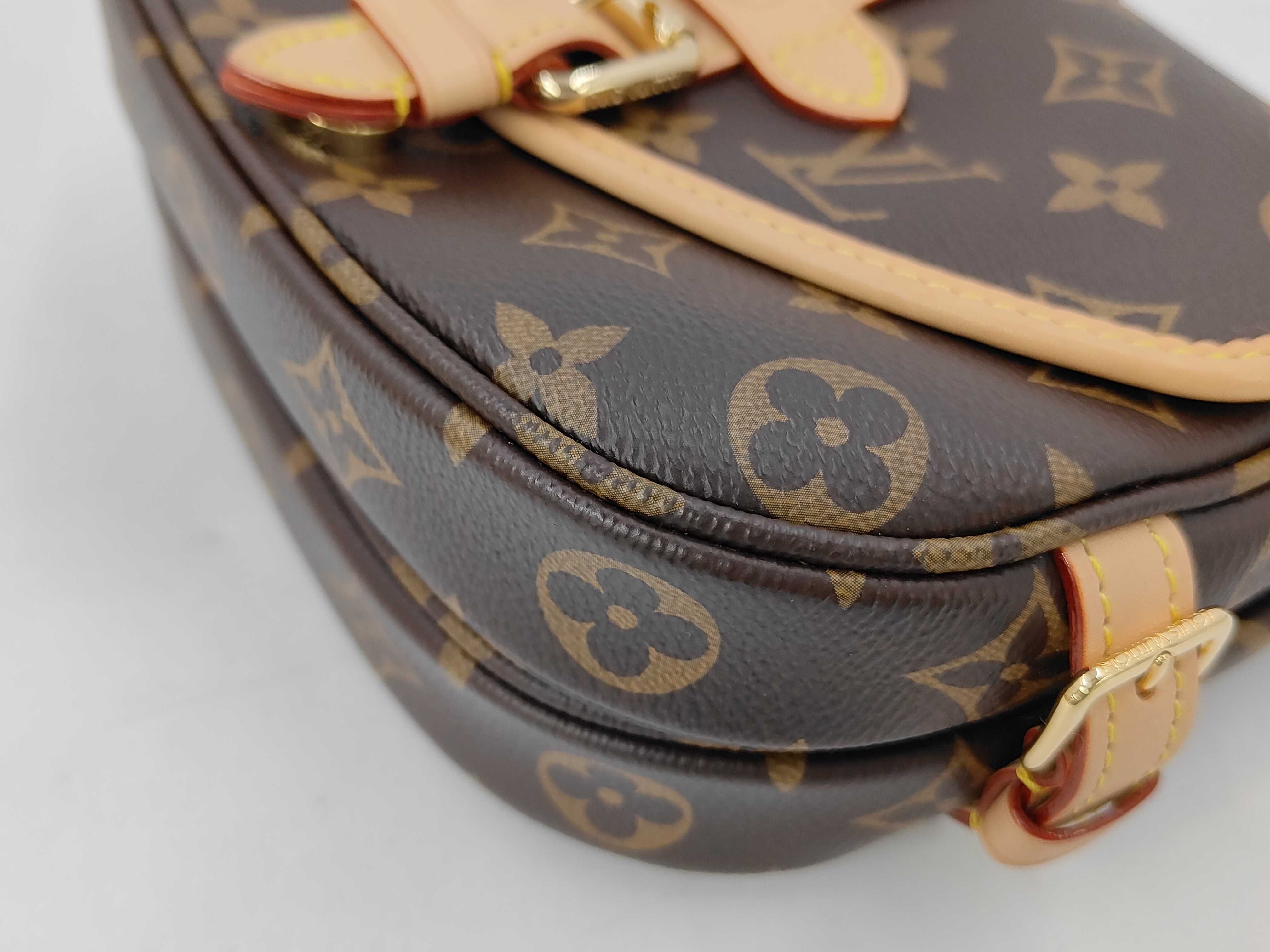 Monogram Louis Vuitton Brown Monogram Saumur BB M46740 Shoulder Bag — view 4