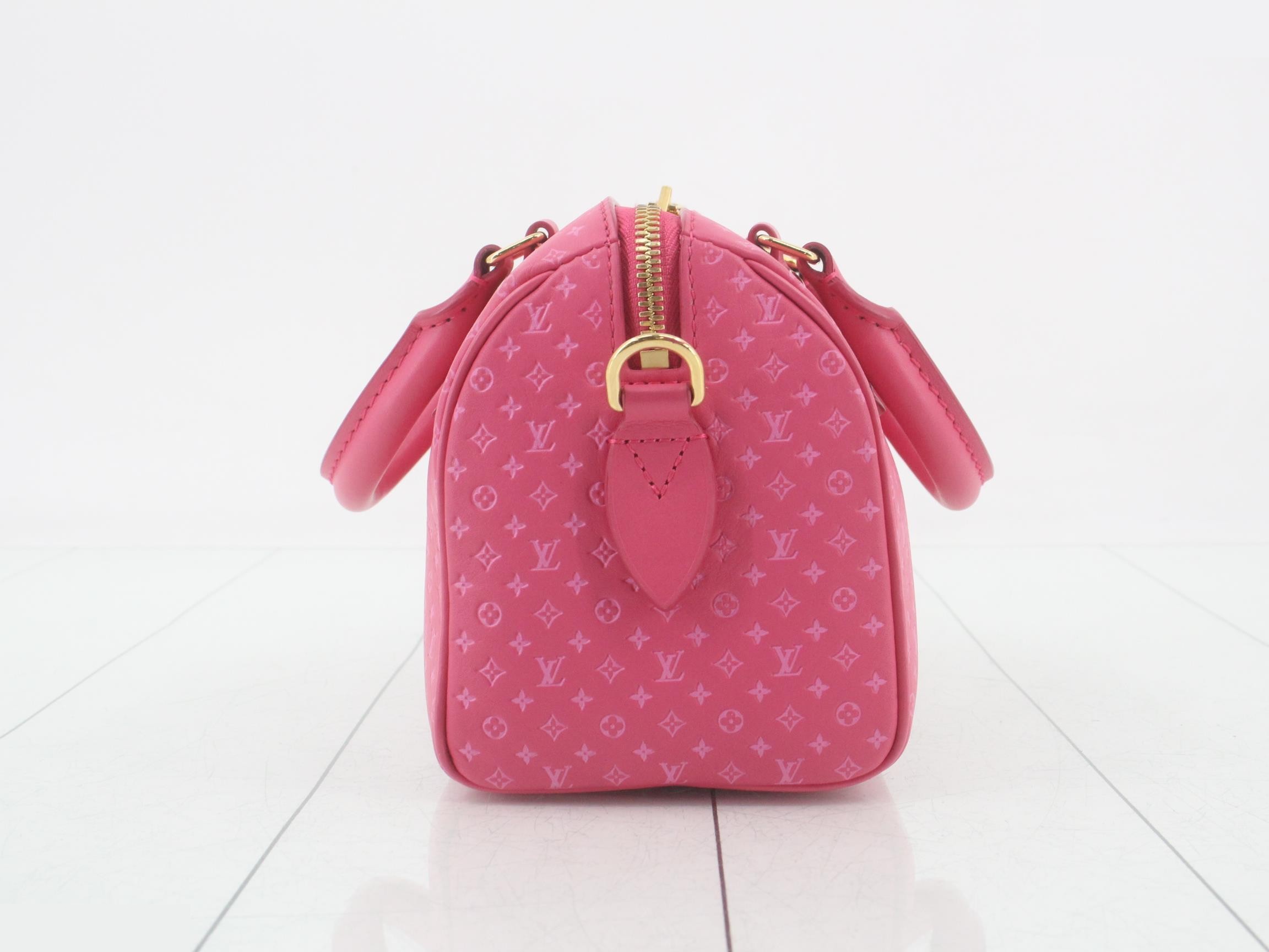 Speedy Bandoulière 20 Nanogram 2-Way Handbag — view 4