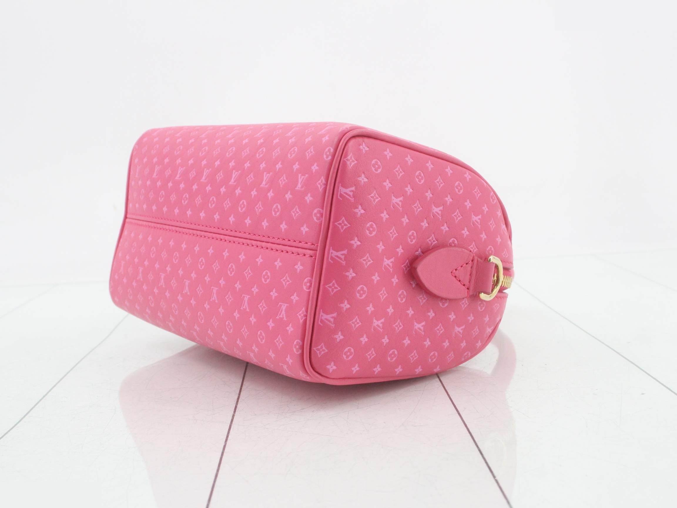 Speedy Bandoulière 20 Nanogram 2-Way Handbag — view 6