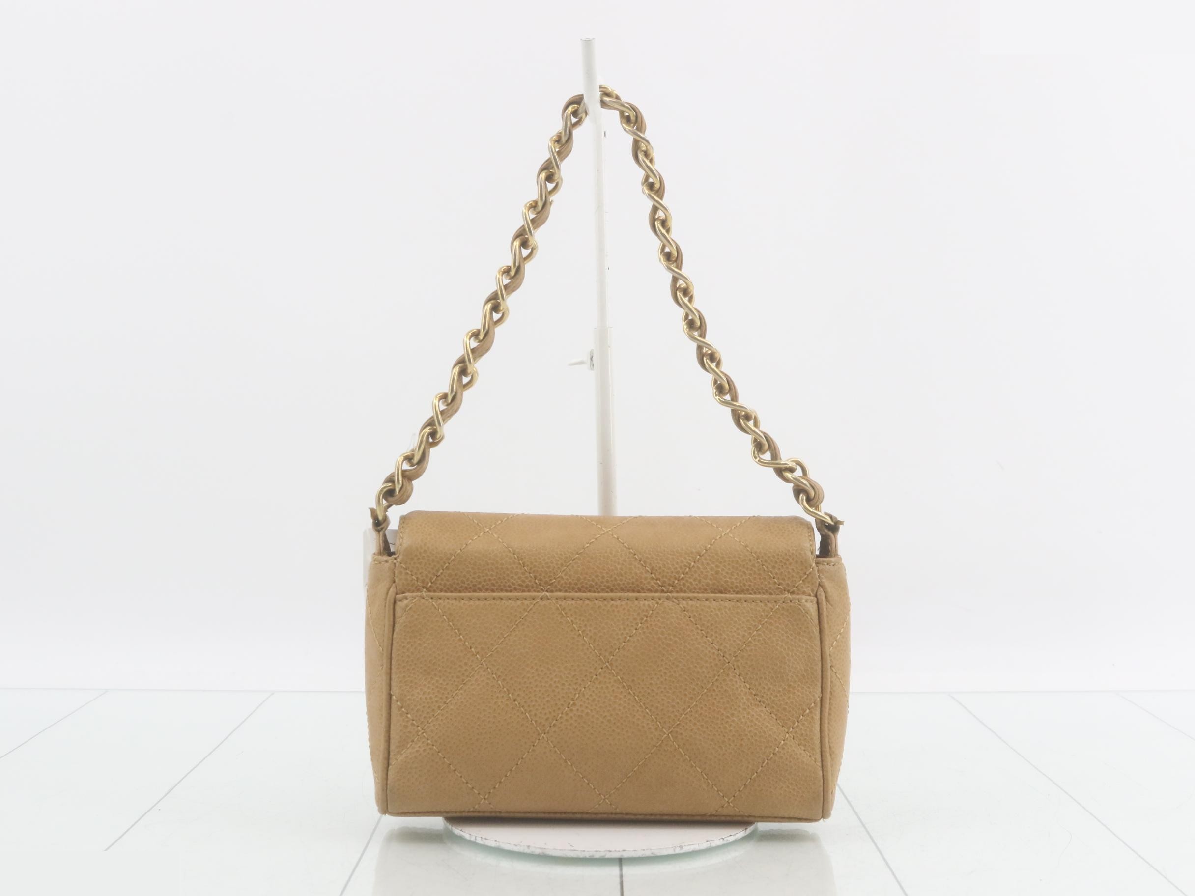 Caviar skin (bag) / handbag — view 2