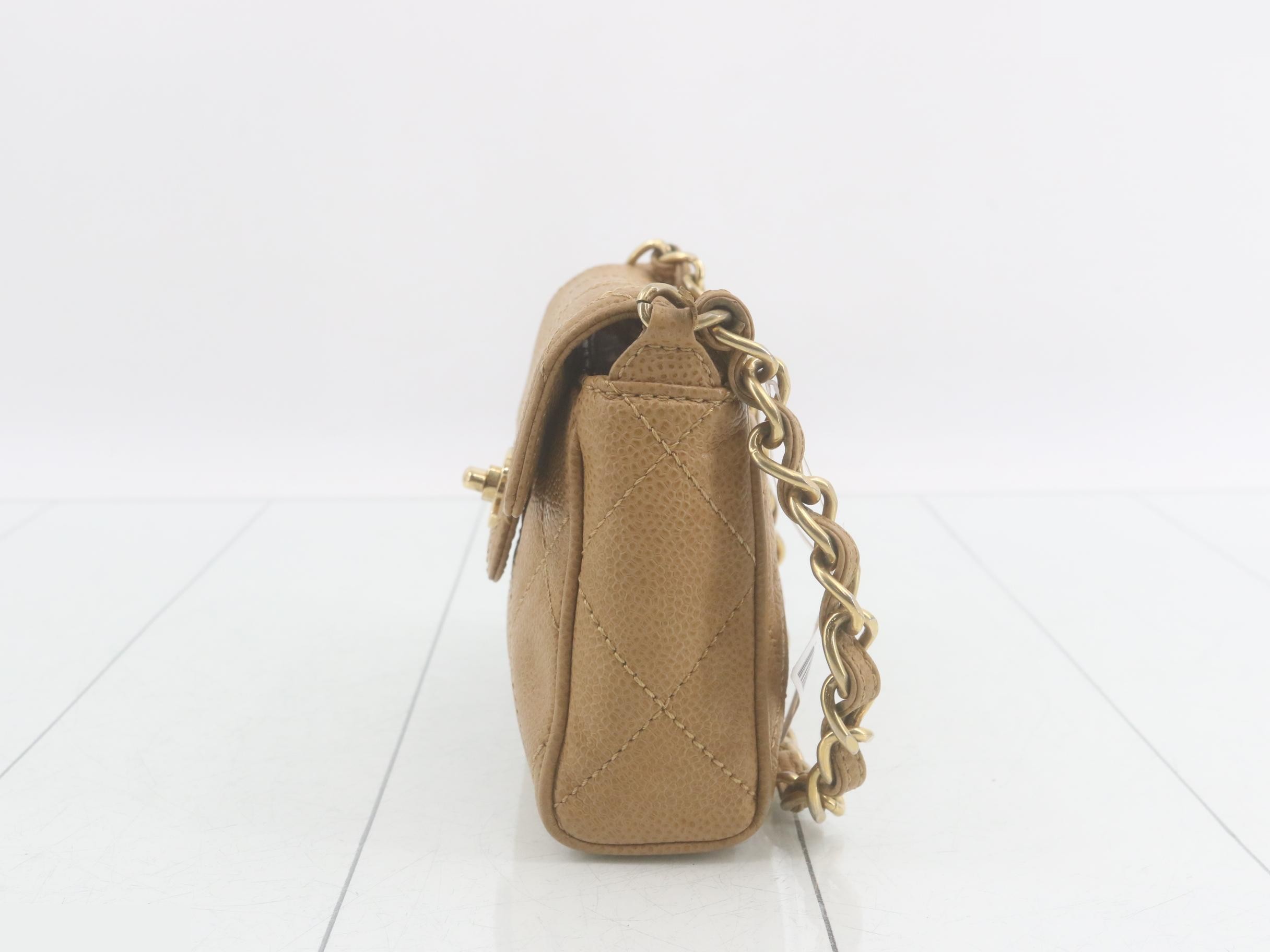 Caviar skin (bag) / handbag — view 3