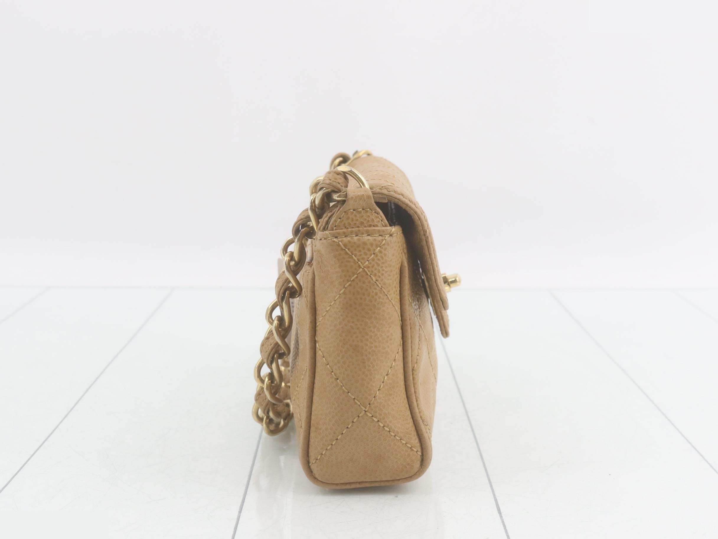 Caviar skin (bag) / handbag — view 4