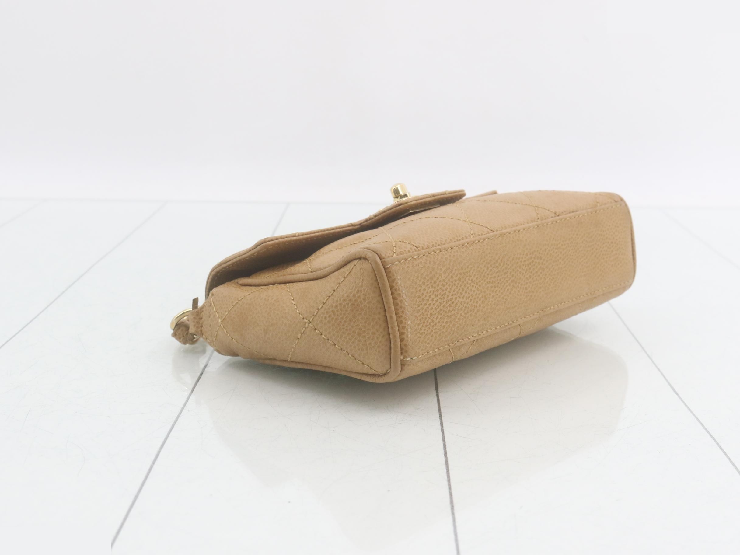 Caviar skin (bag) / handbag — view 5