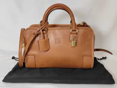 Amazona 23 Calfskin 2-Way Handbag