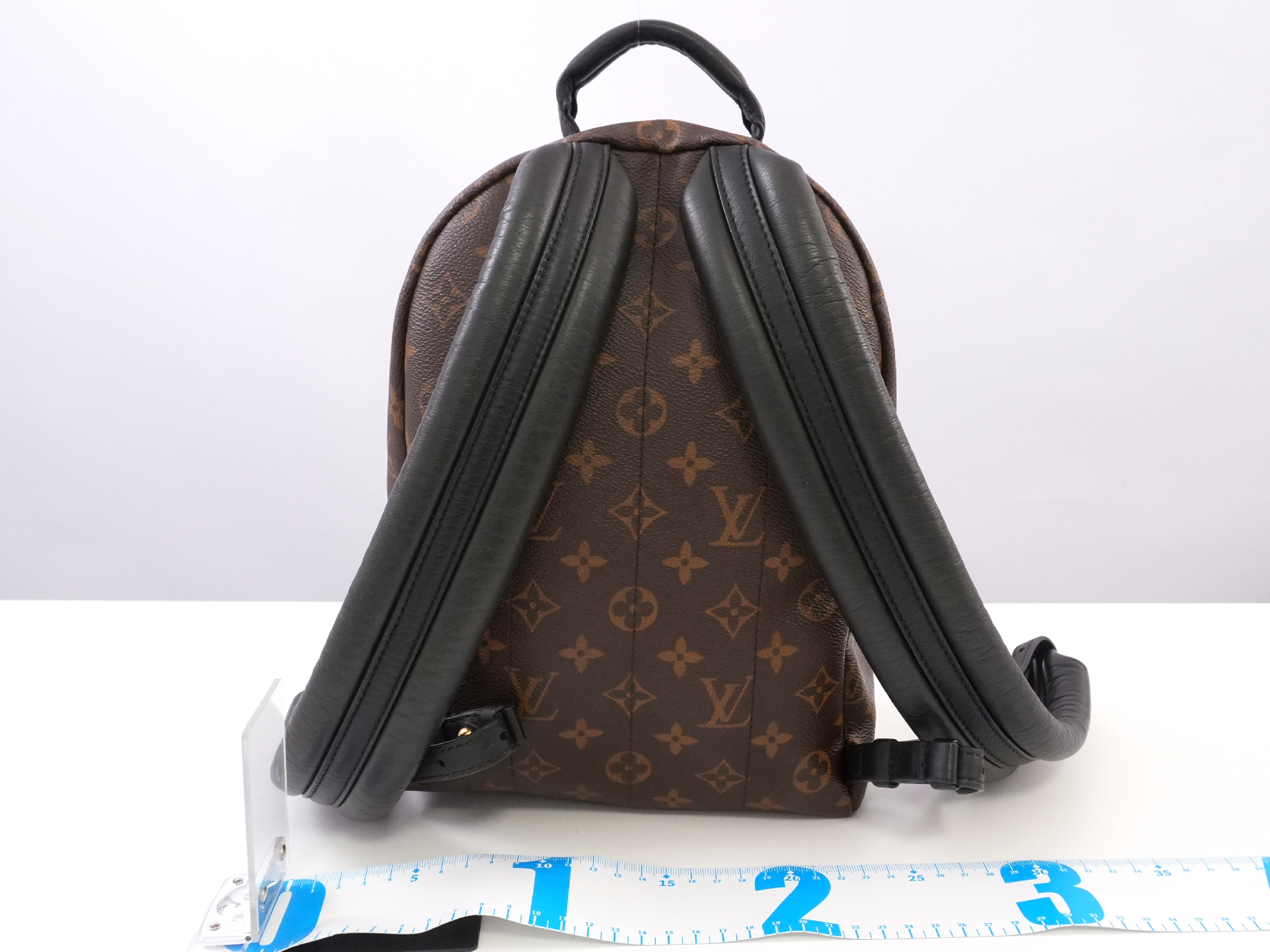Monogram Palm Springs PM M41560 Backpack — view 2