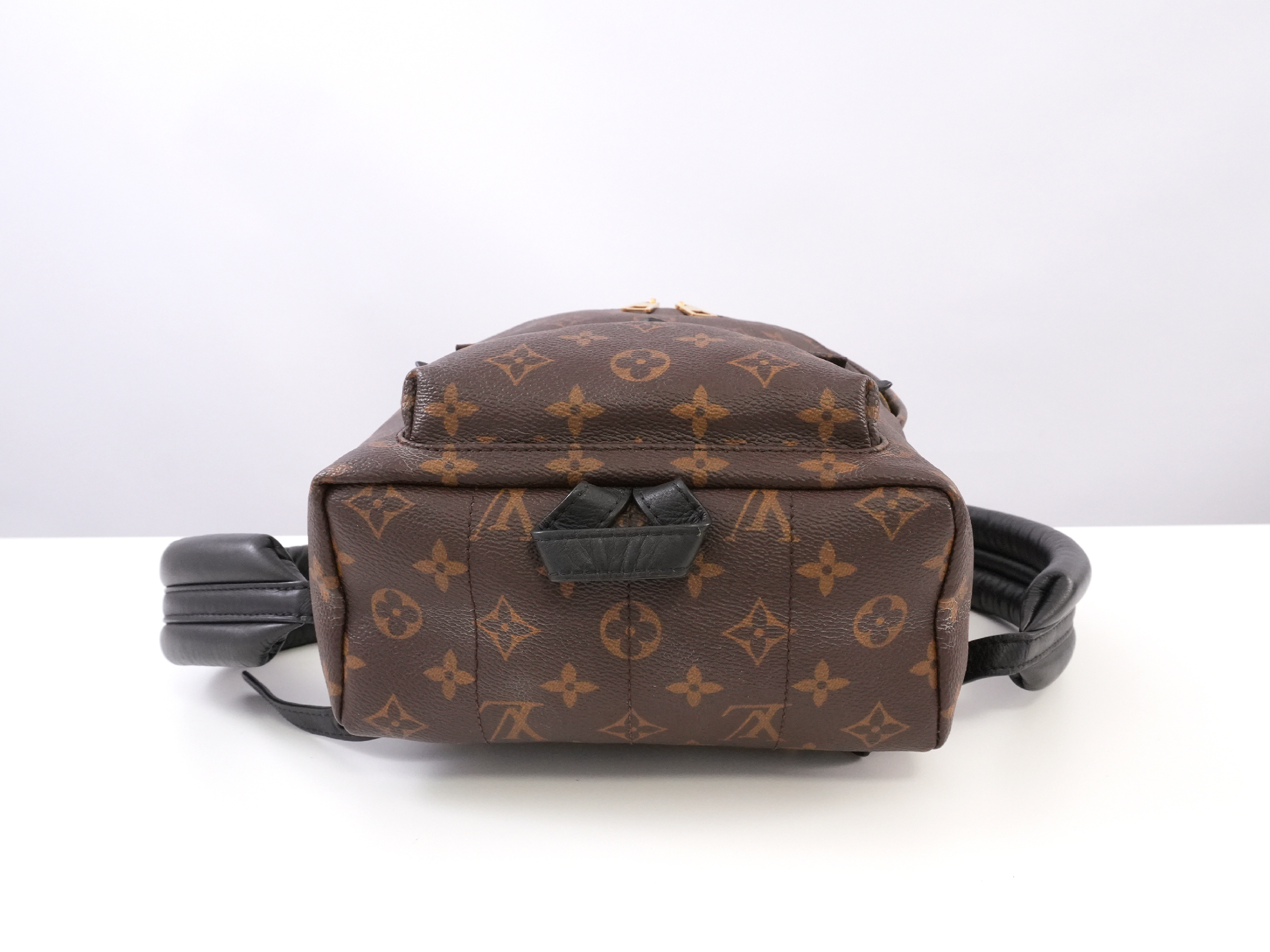 Monogram Palm Springs PM M41560 Backpack — view 12