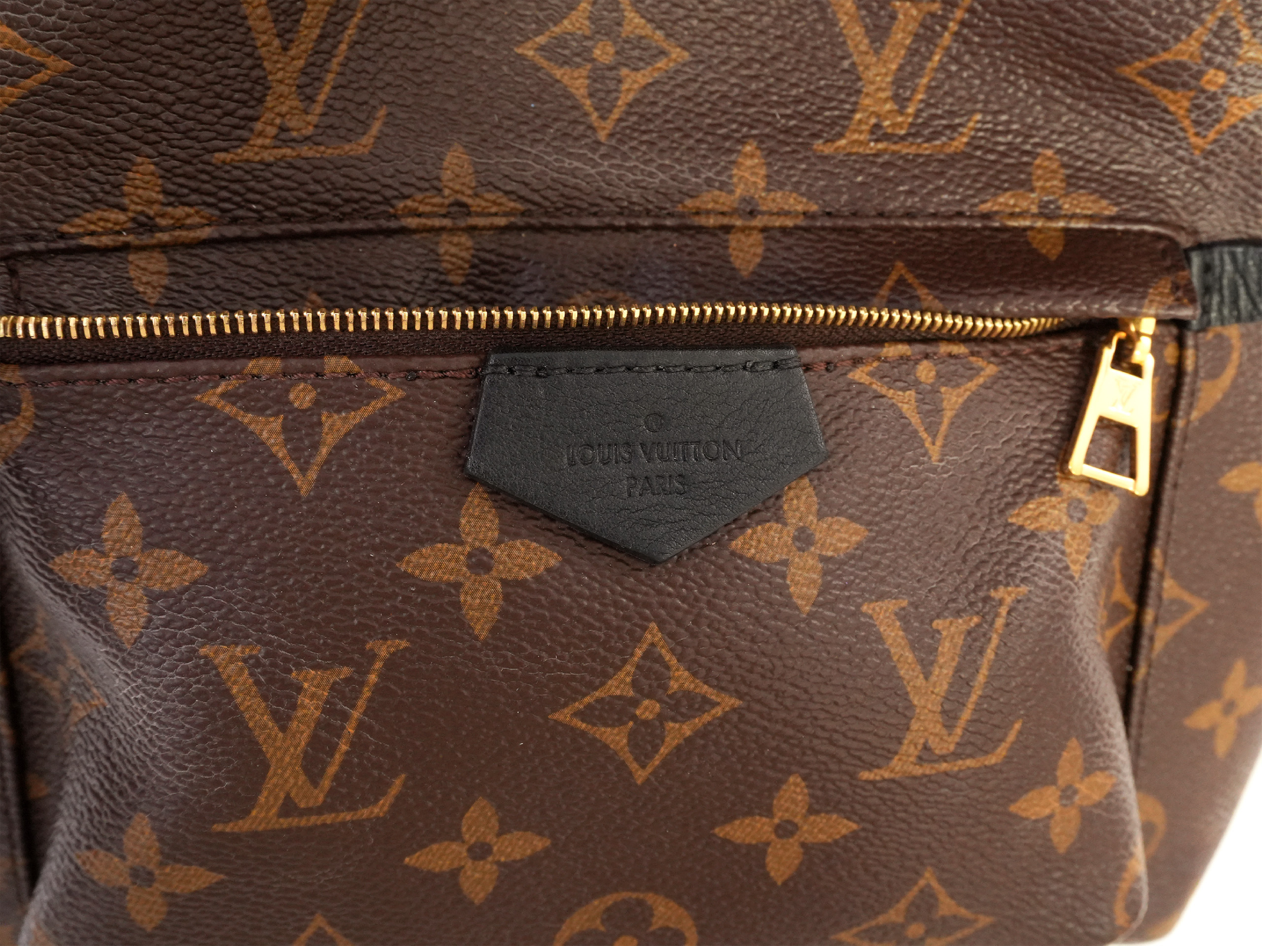Monogram Palm Springs PM M41560 Backpack — view 3