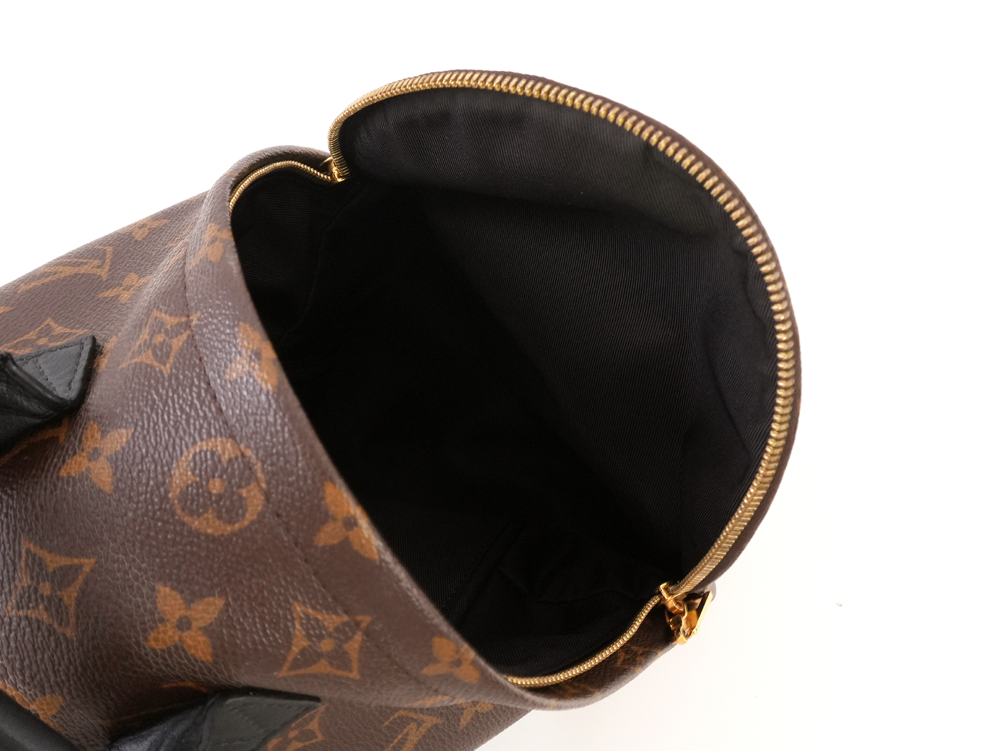 Monogram Palm Springs PM M41560 Backpack — view 5