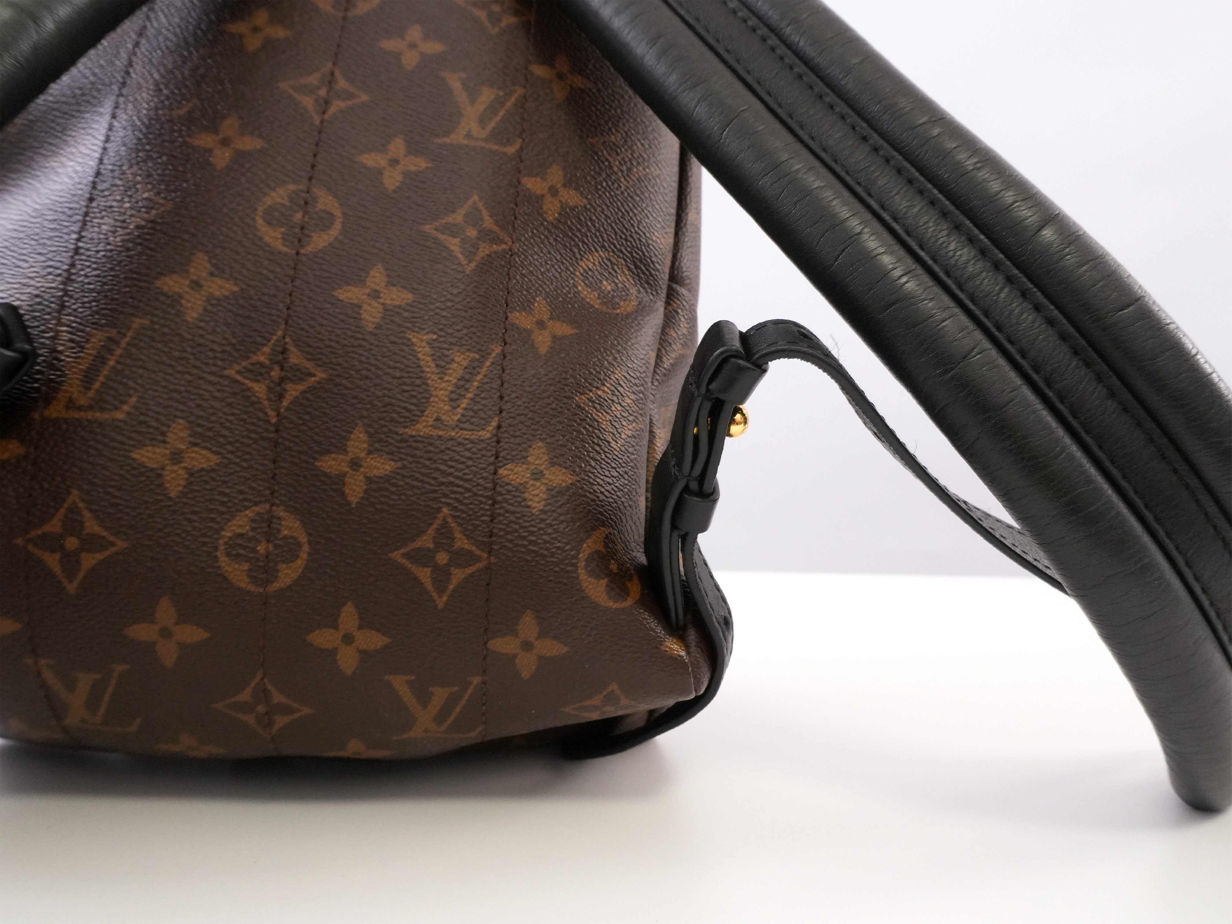 Monogram Palm Springs PM M41560 Backpack — view 9