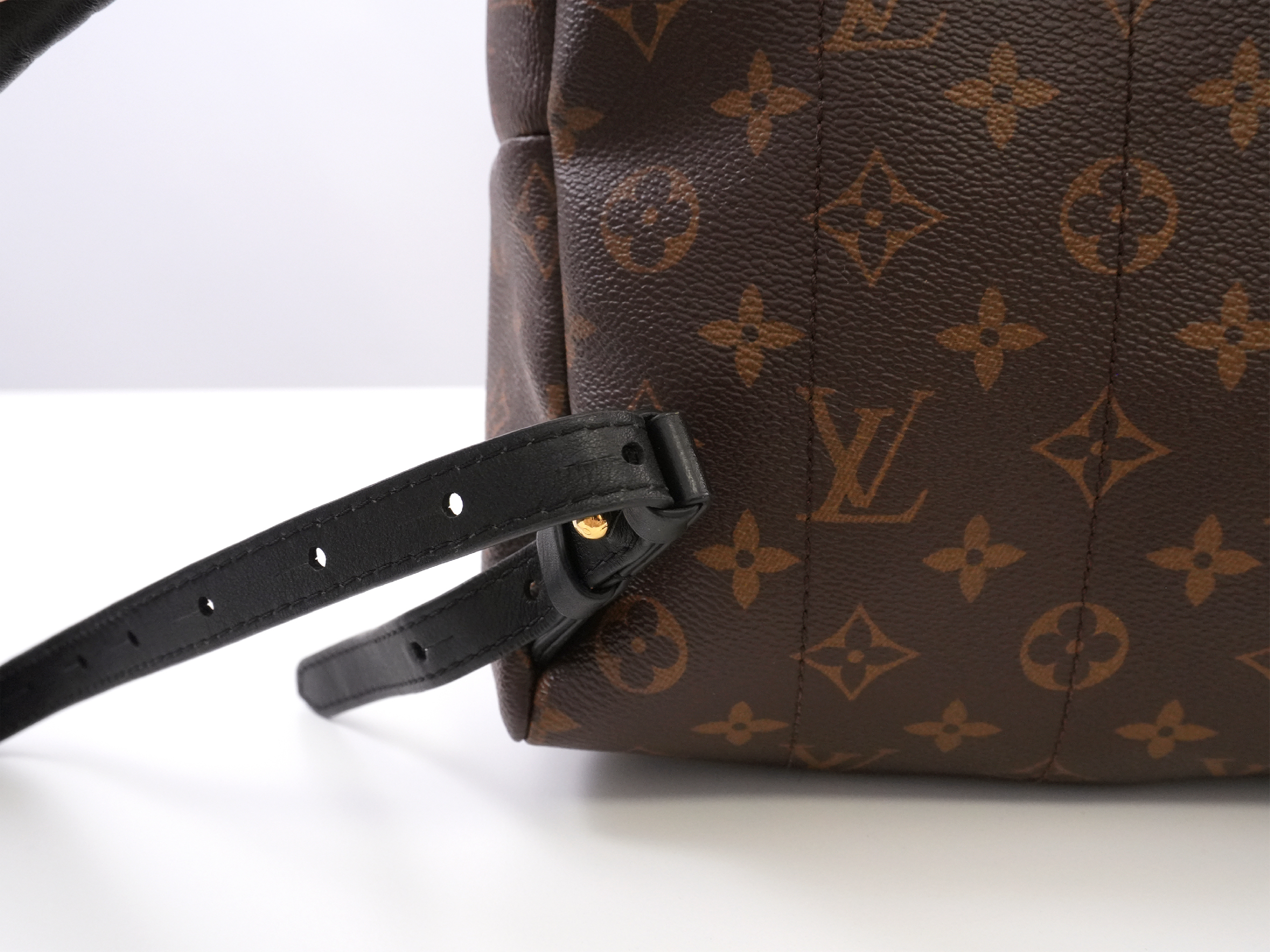 Monogram Palm Springs PM M41560 Backpack — view 10