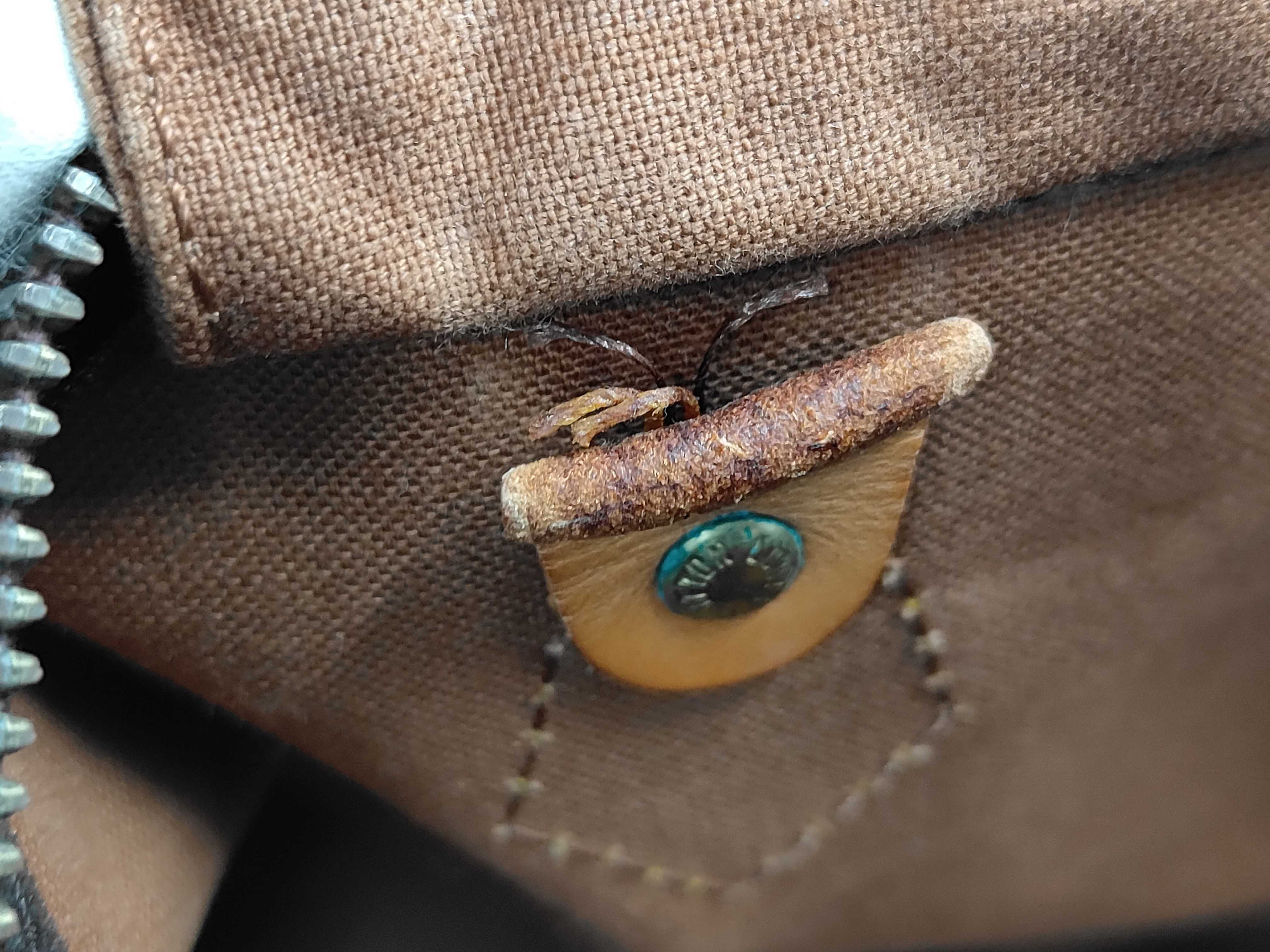 Speedy 40 Boston Bag — view 11