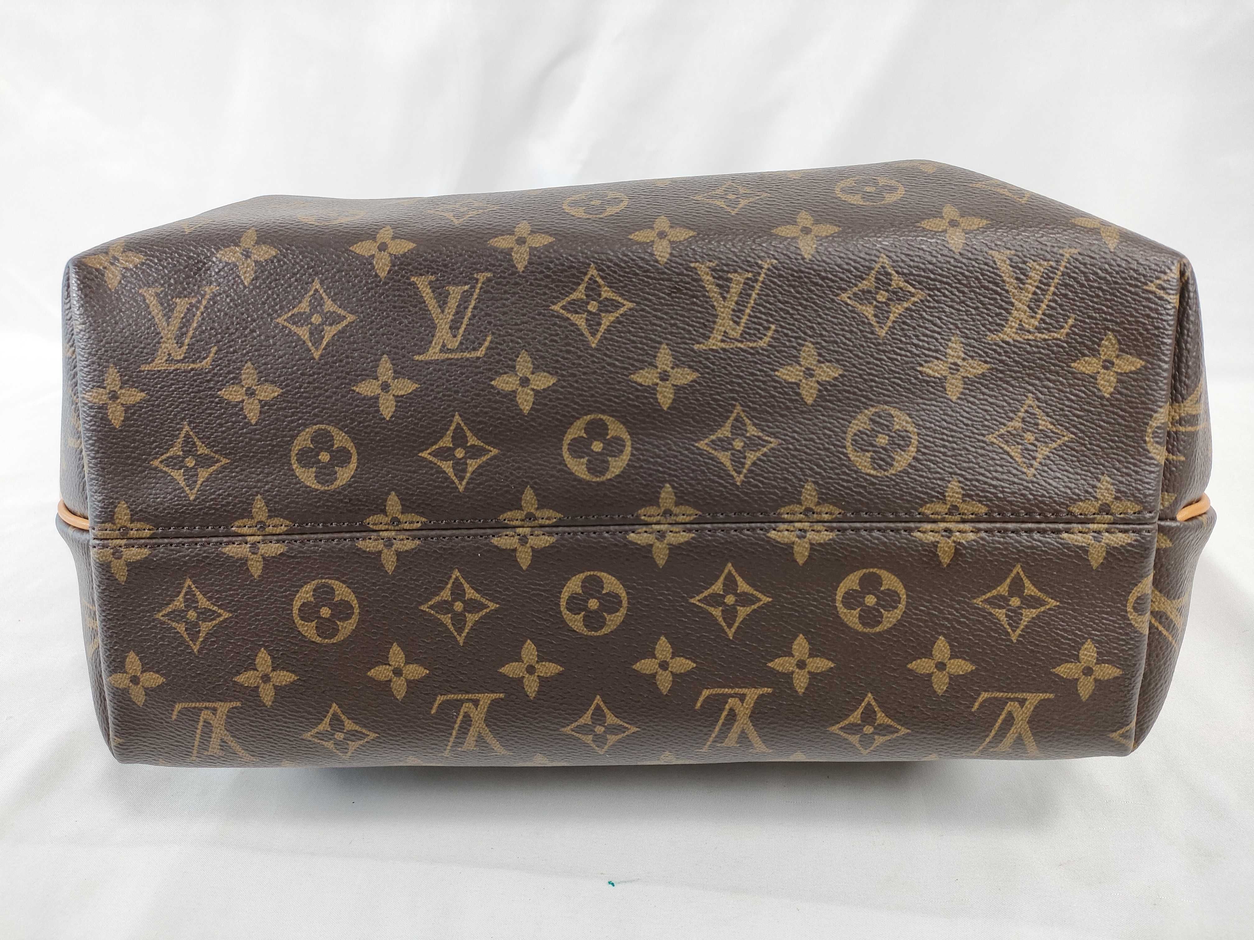Monogram Louis Vuitton Handbag — view 9