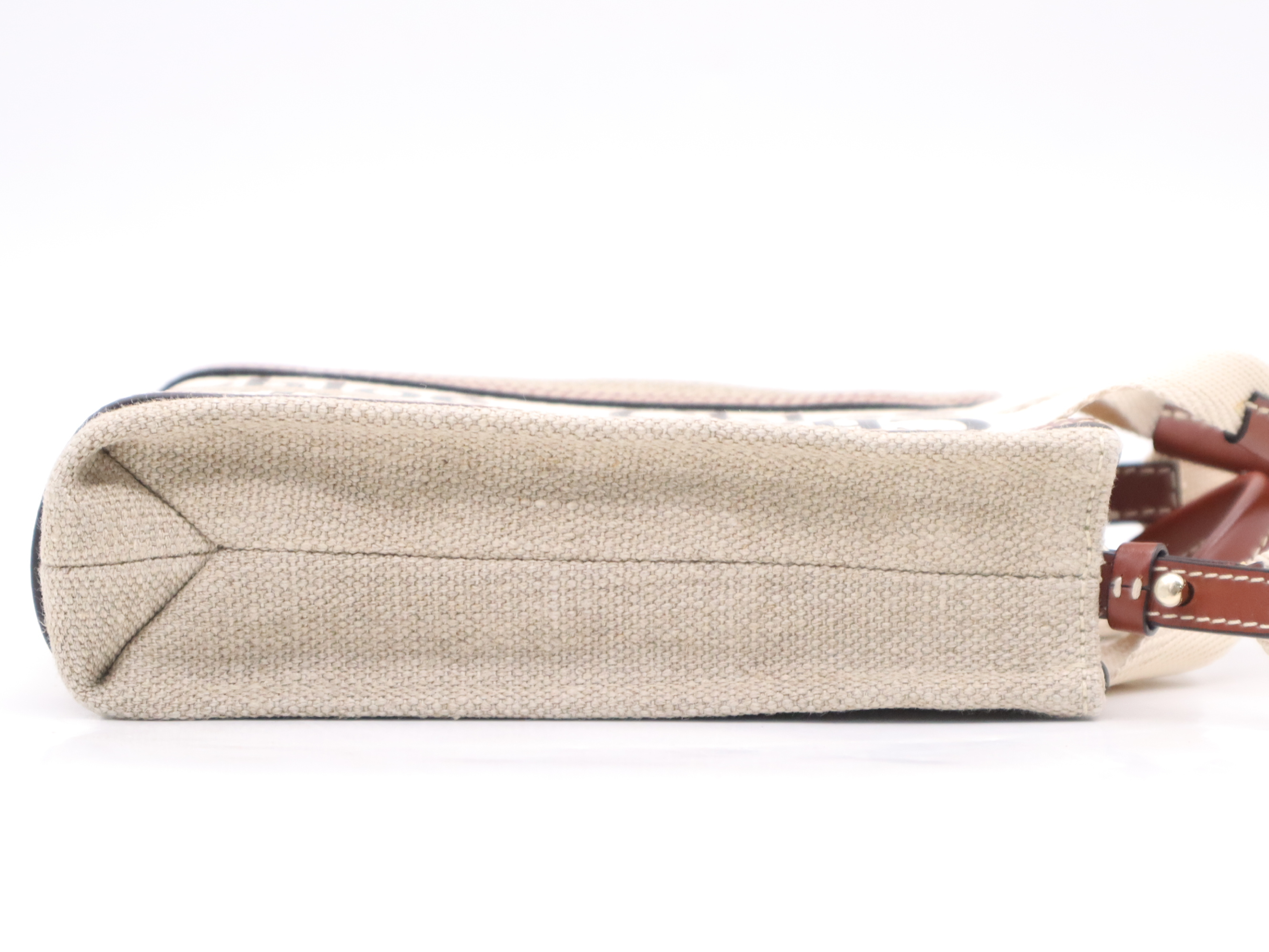 CHC24AP243 I26 Woody North-South Handbag, Beige, Gold Hardware, with Shoulder Strap and Dust Bag. — view 5