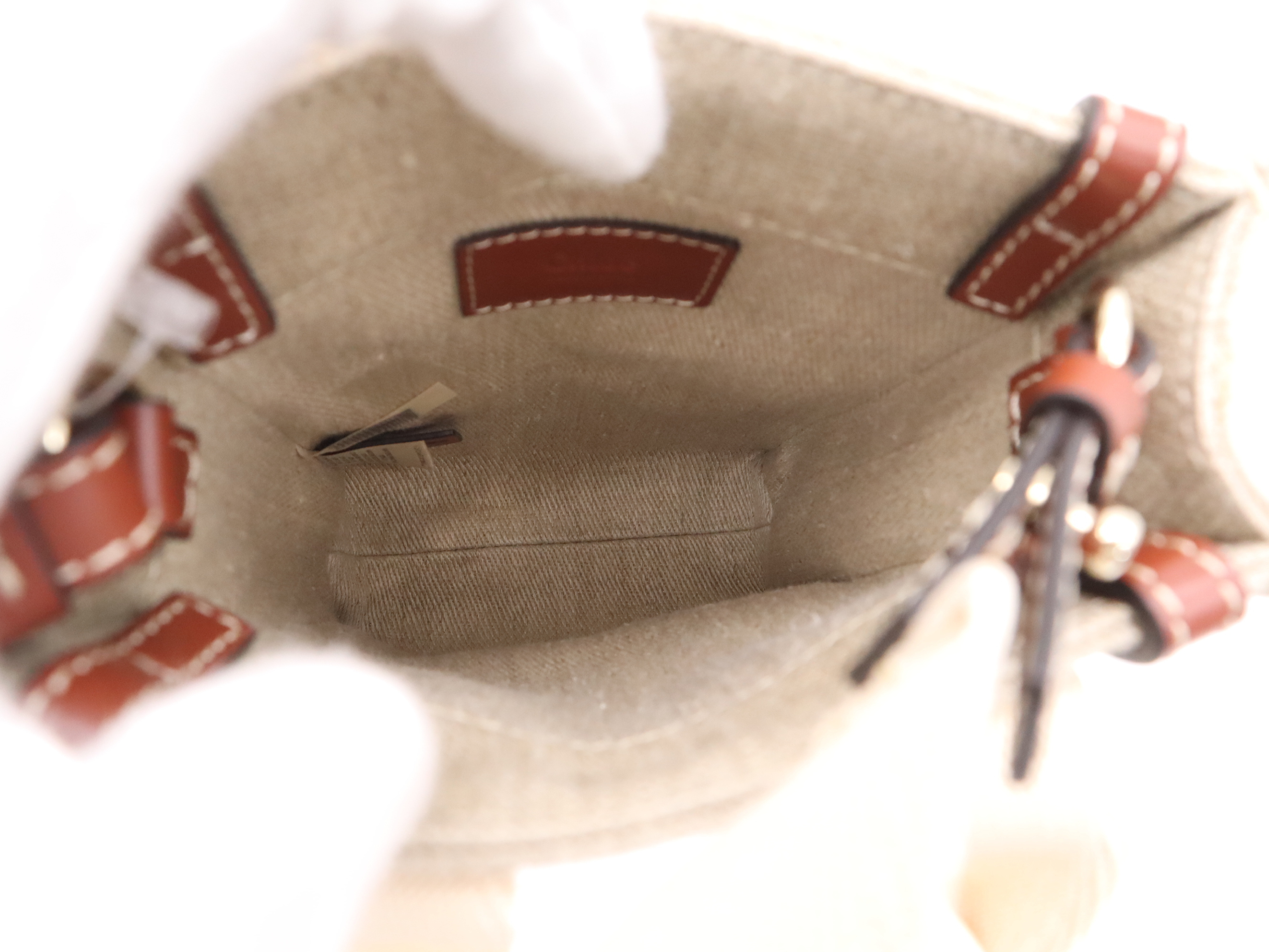 CHC24AP243 I26 Woody North-South Handbag, Beige, Gold Hardware, with Shoulder Strap and Dust Bag. — view 10