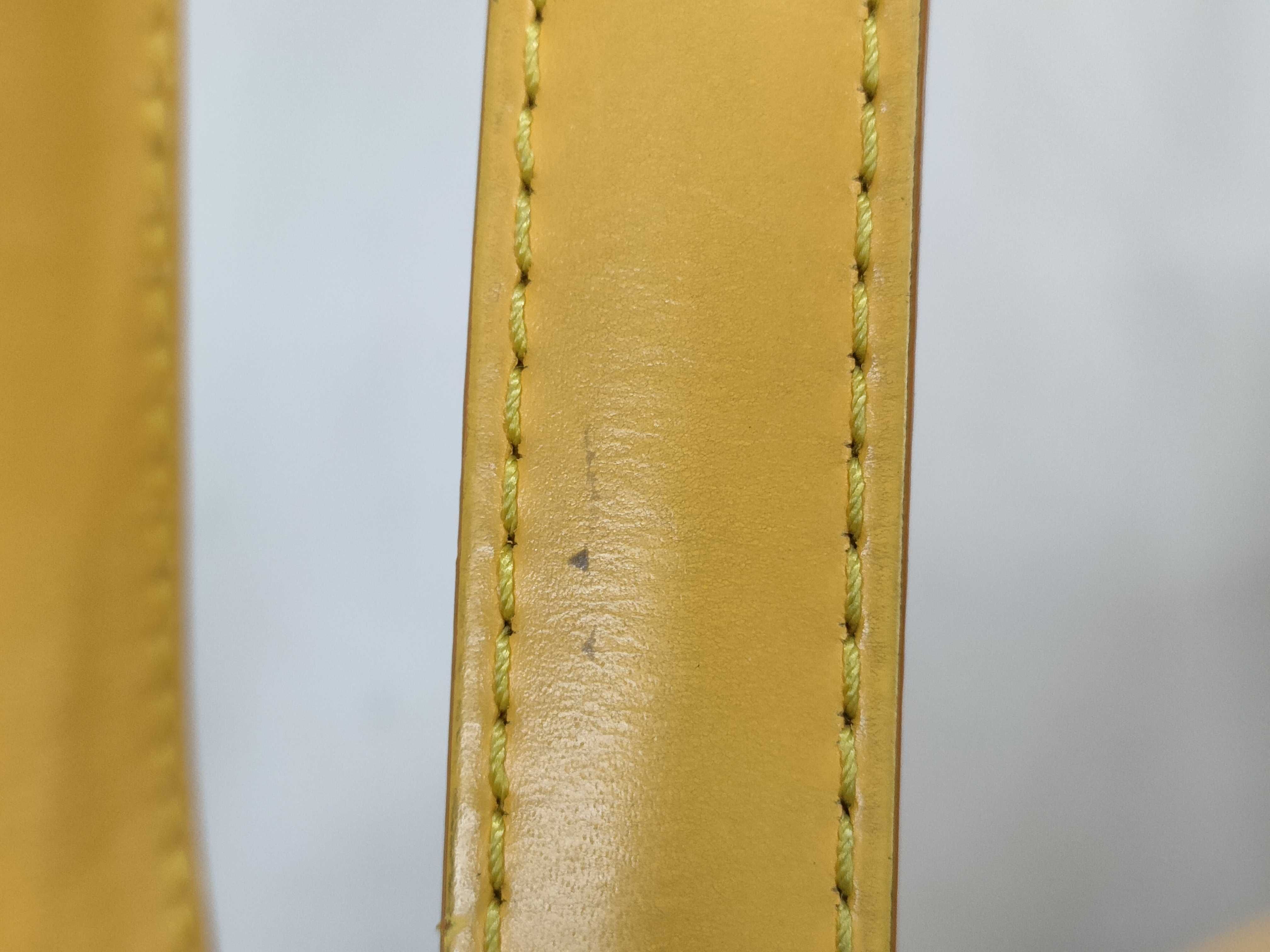 Epi Saint Jacques Poignee Long Shoulder Bag — view 4