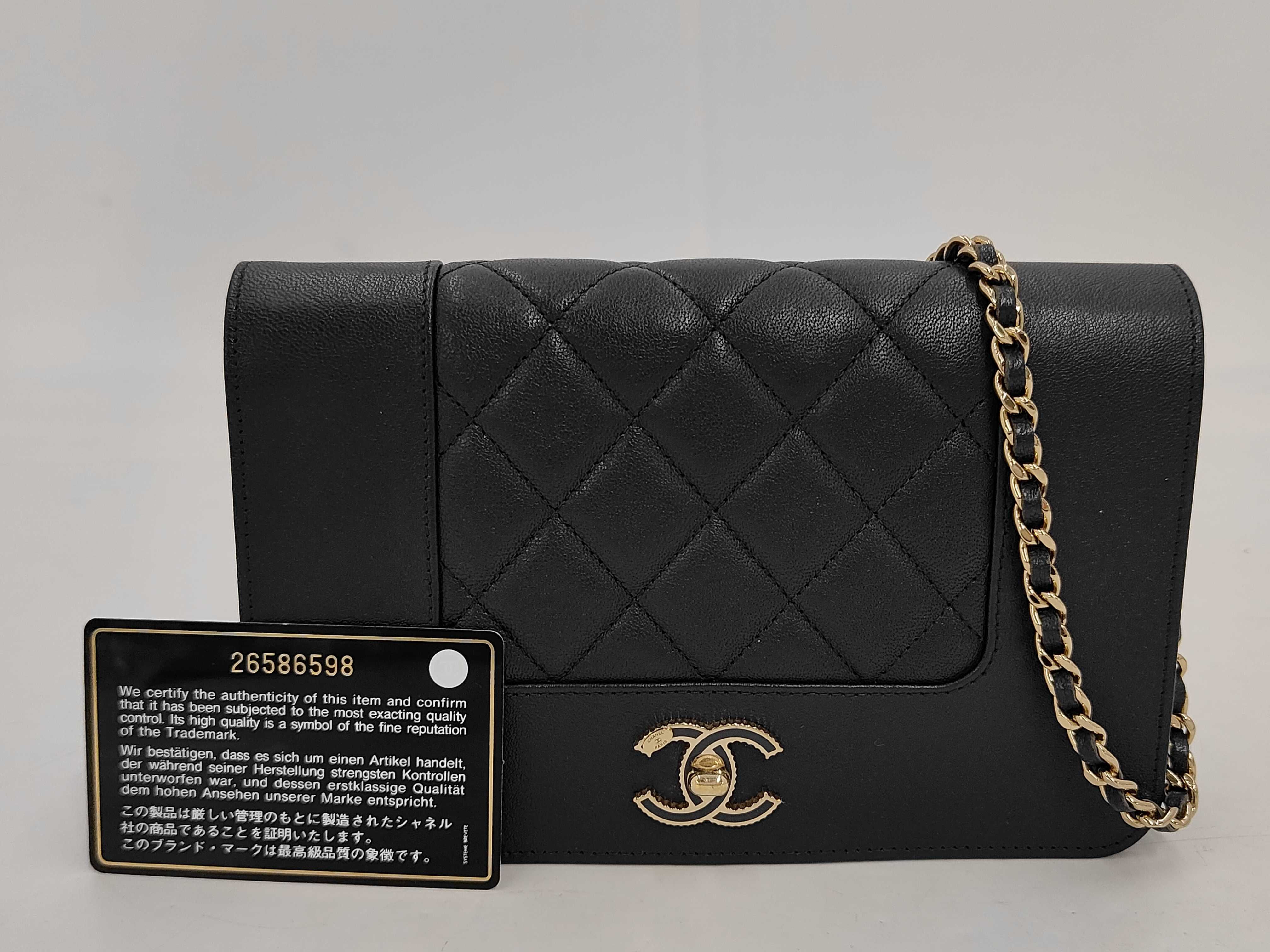 WOC Chain Shoulder Bag