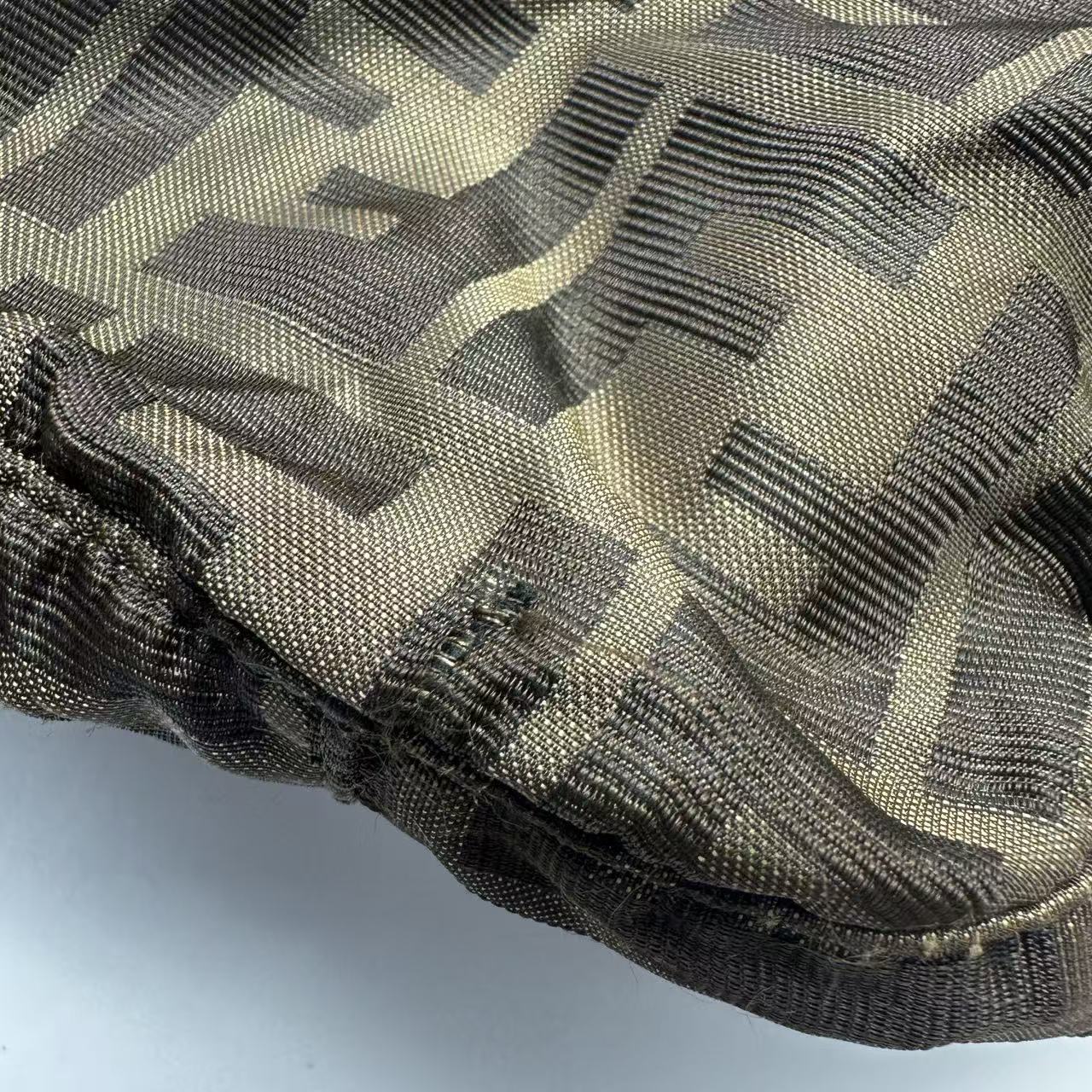 【*Shipped from: China*】FENDI Canvas Shoulder Bag — view 9