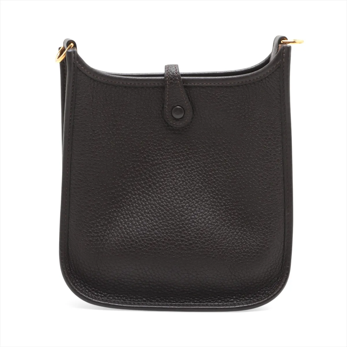 Evelyn 16 TPM Amazon Taurillon Clemence Ebeine Gold hardware Z:2021 — view 2