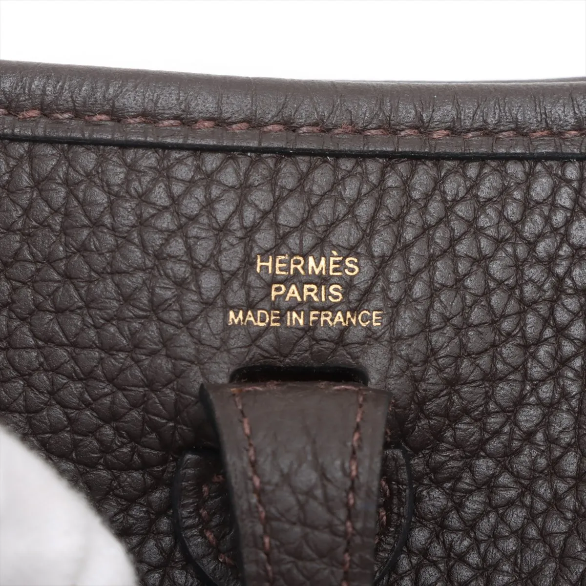Evelyn 16 TPM Amazon Taurillon Clemence Ebeine Gold hardware Z:2021 — view 7