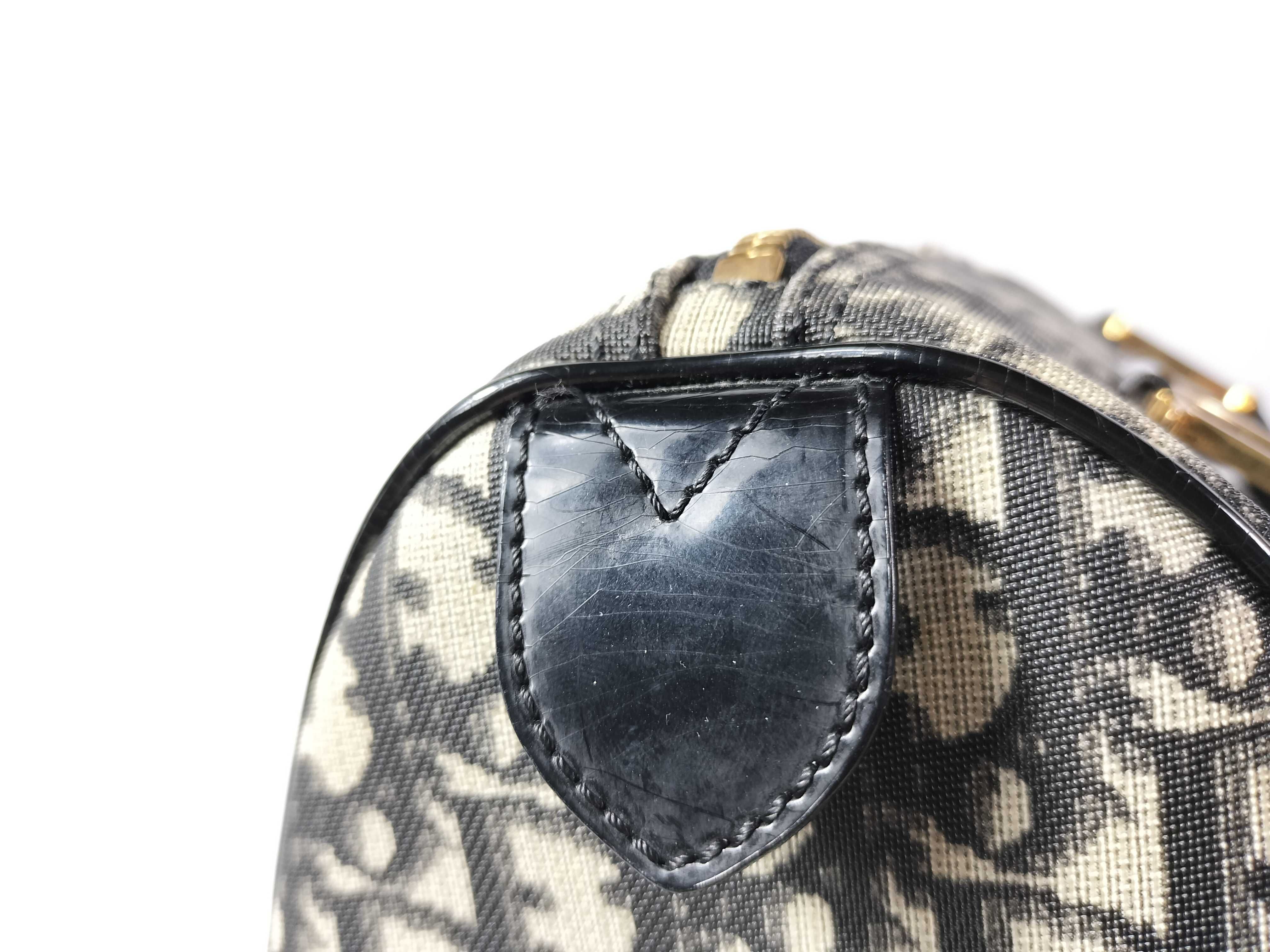 Mini Boston Bag with CD Logo, Trotter Pattern, PVC, Gold Hardware, Handbag — view 14