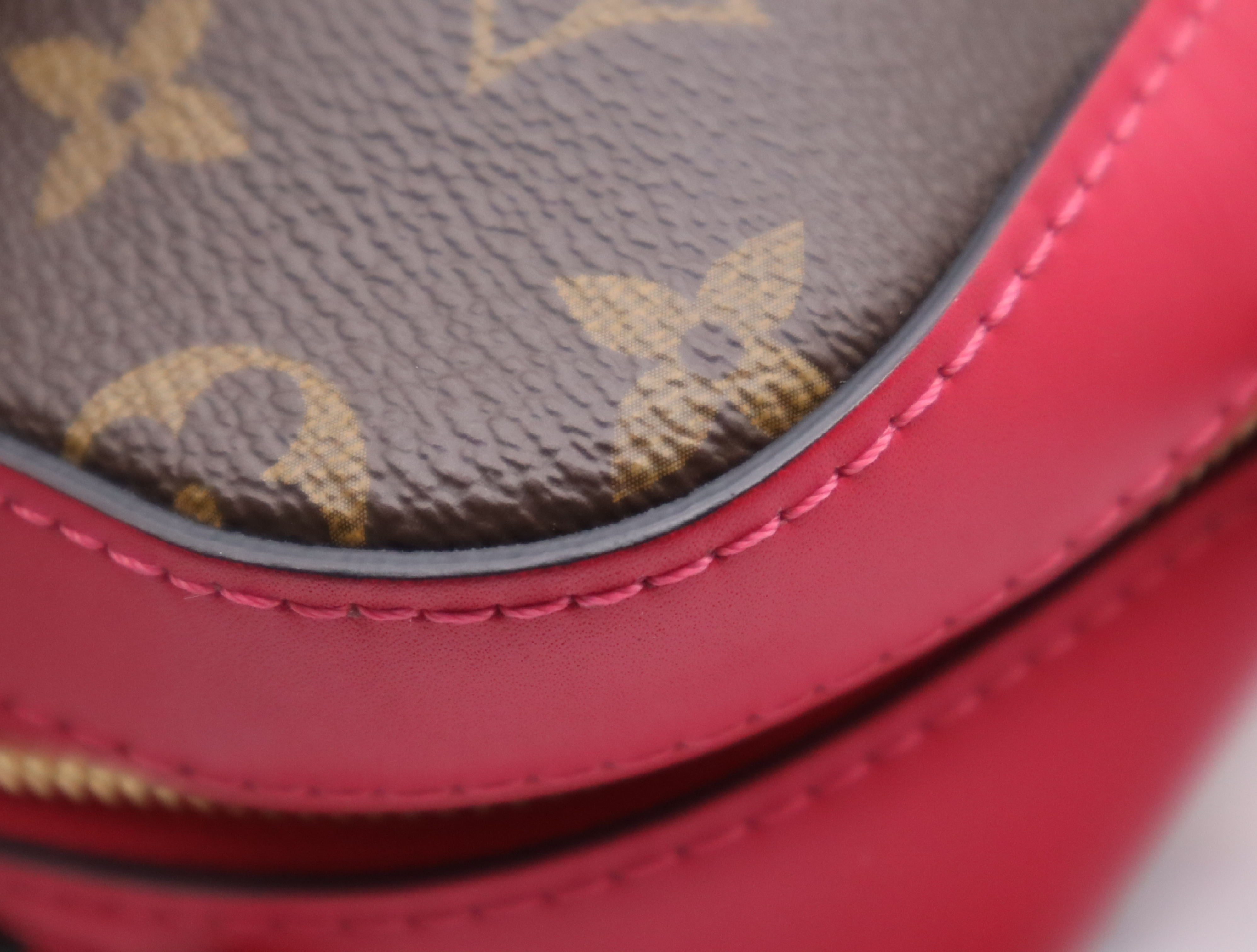M43557 Monogram Saint-Onge Freesia Shoulder Bag with Dust Bag, RFID Tested. — view 10