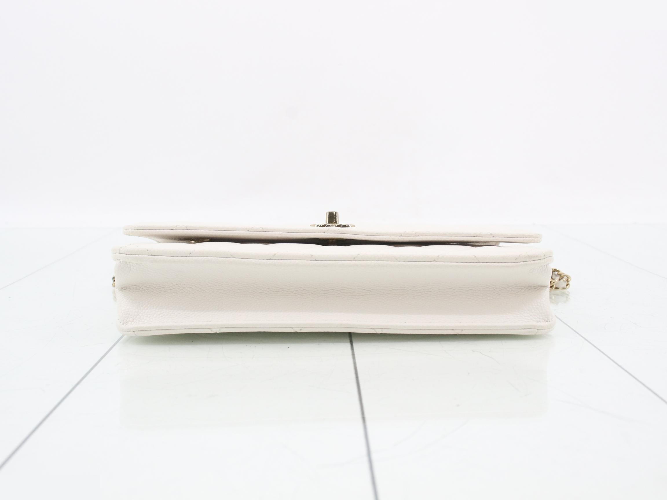 Chain Wallet — view 3