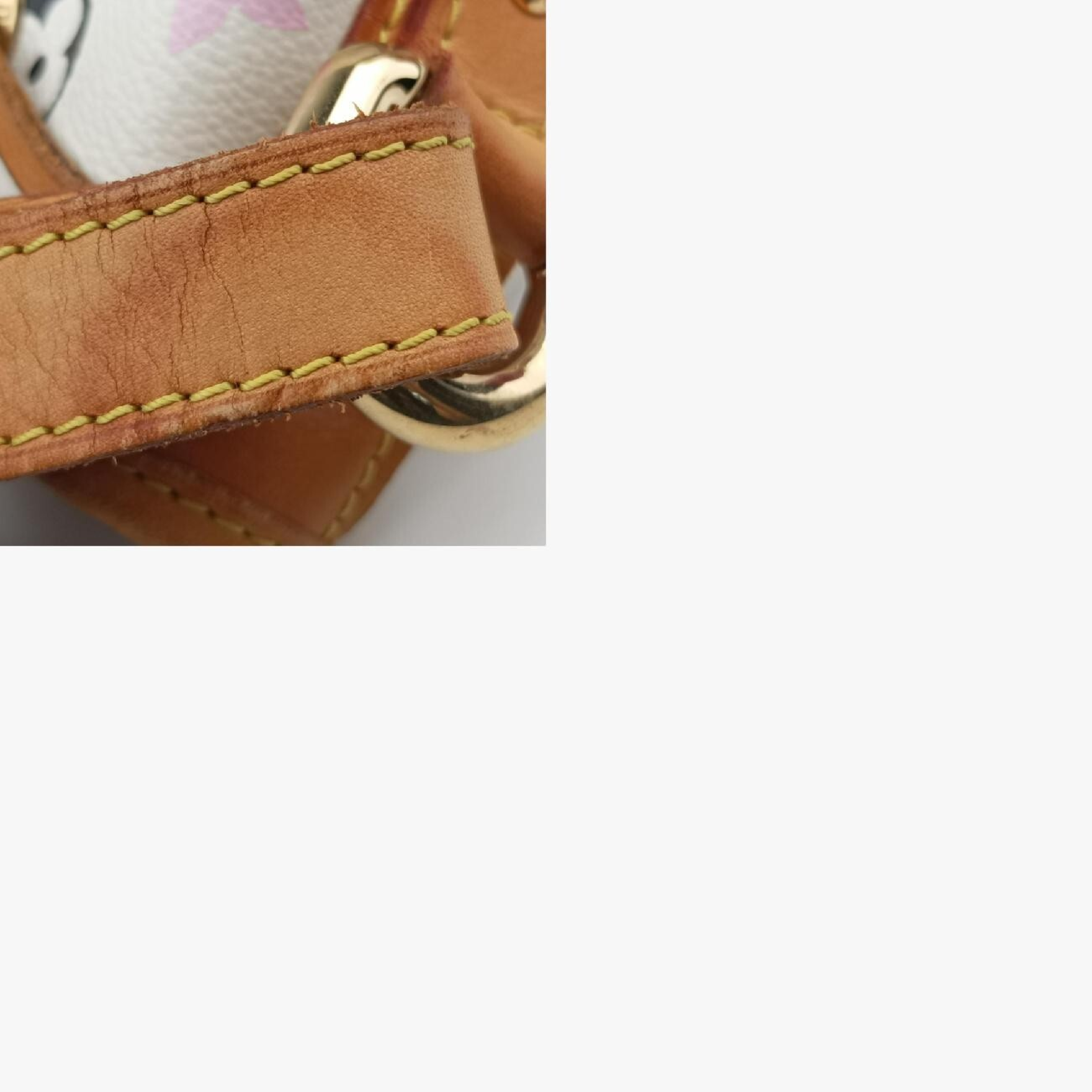 Petit Noé Blanc Monogram Multicolor M42229 (Serial Number Unknown) Shoulder Bag — view 11