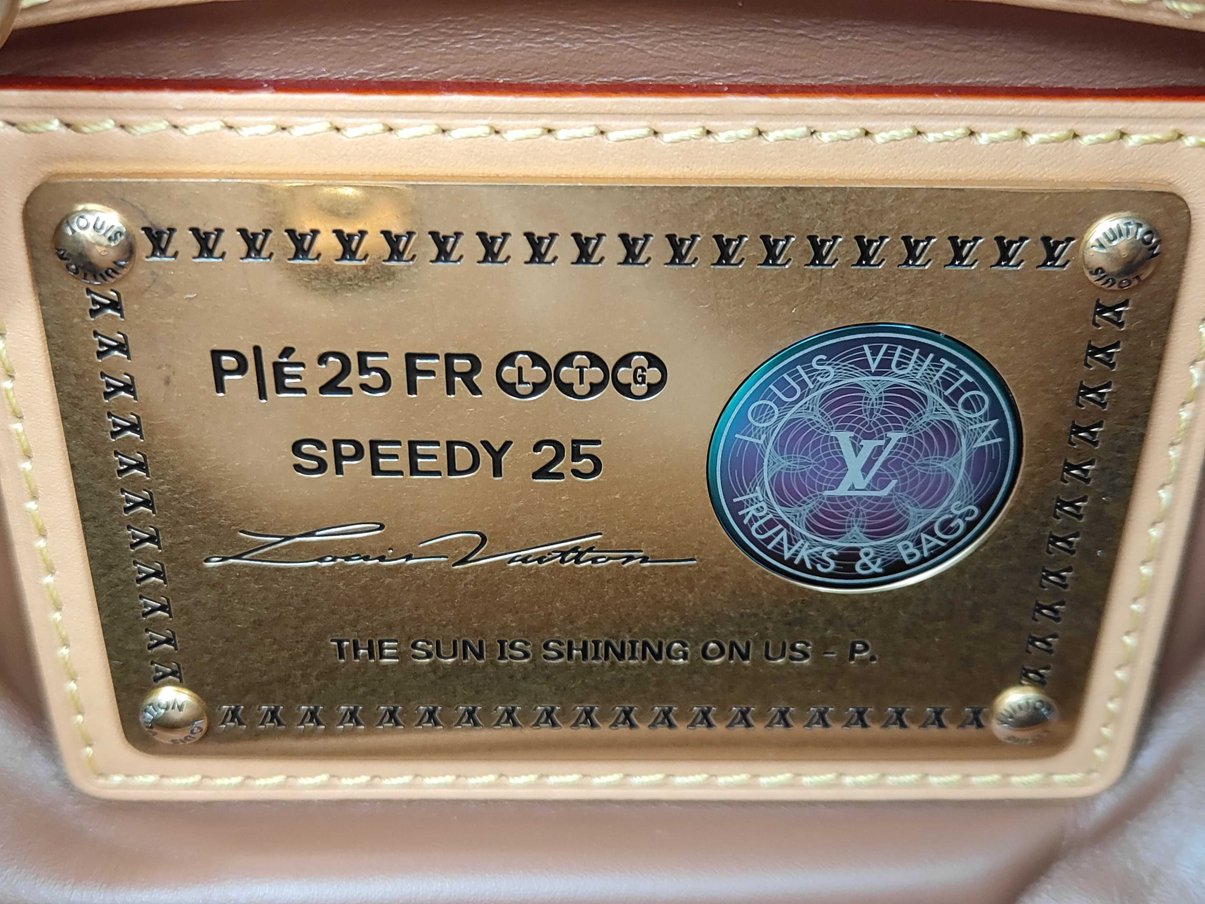 M13902 Speedy P9 Bandoulière 25 Lemonade Yellow RFID Verified Handbag — view 12