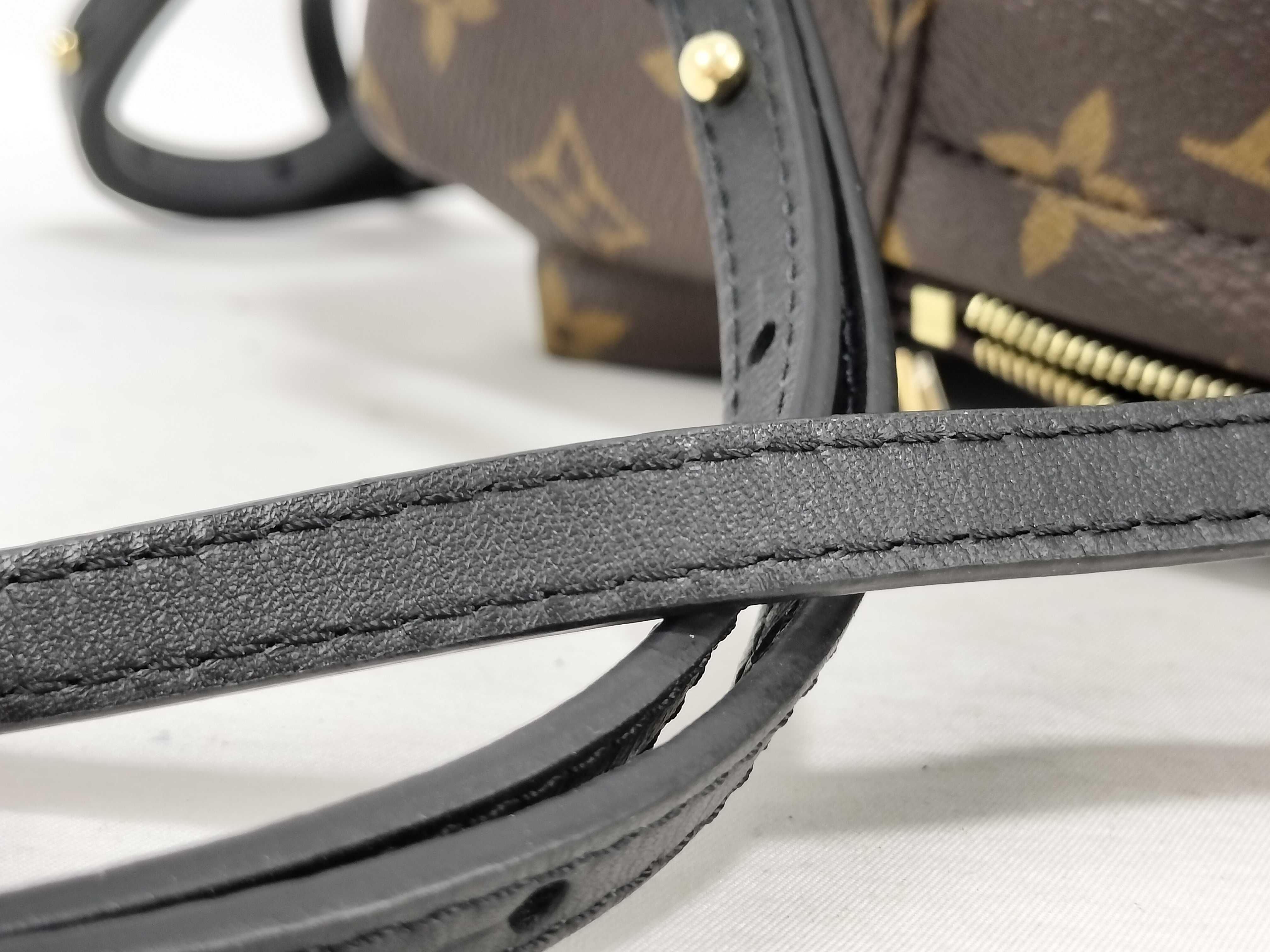 Monogram Louis Vuitton Monogram Backpack Palm Springs Backpack Mini M44873 Backpack — view 4