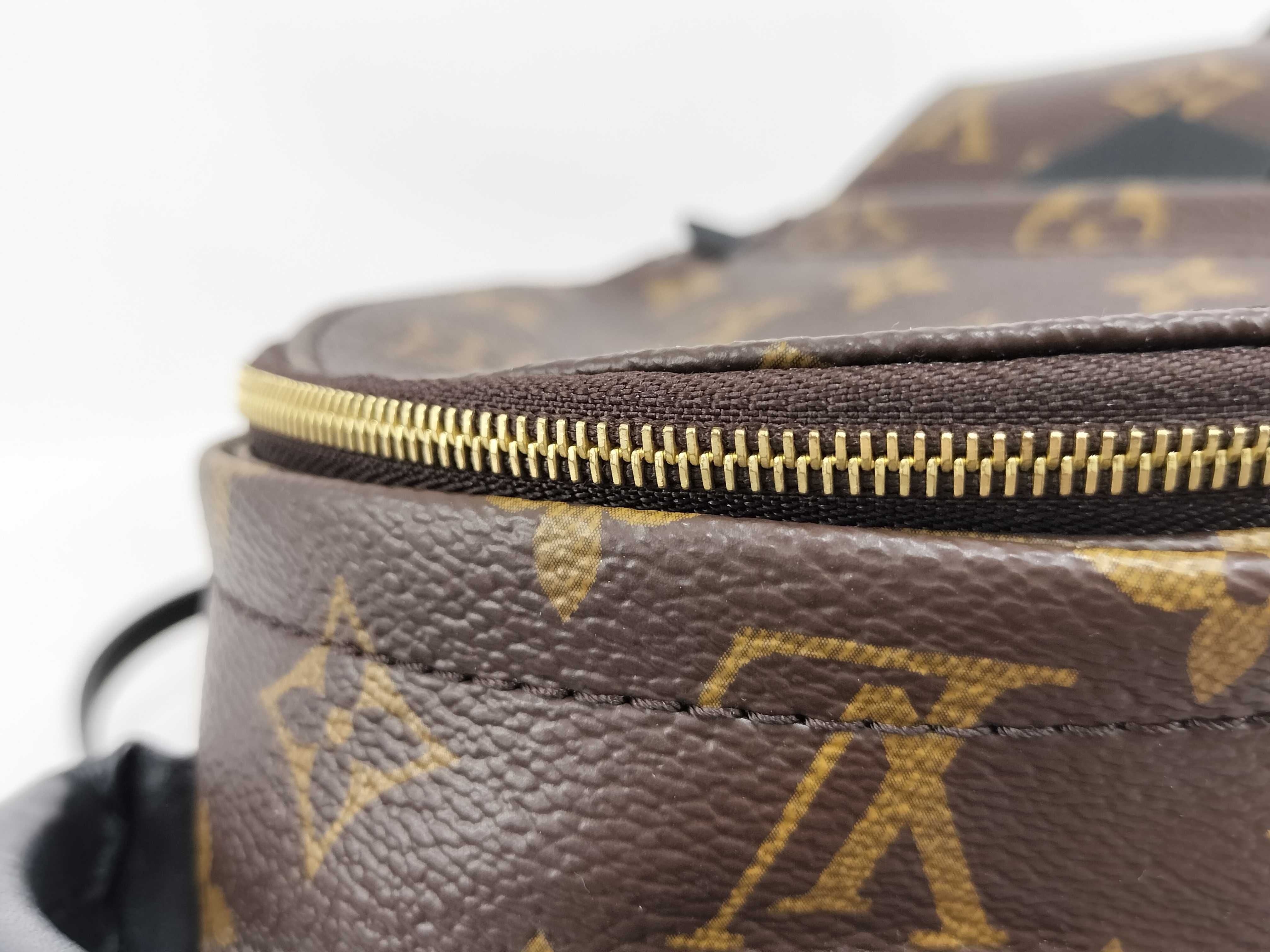 Monogram Louis Vuitton Monogram Backpack Palm Springs Backpack Mini M44873 Backpack — view 6