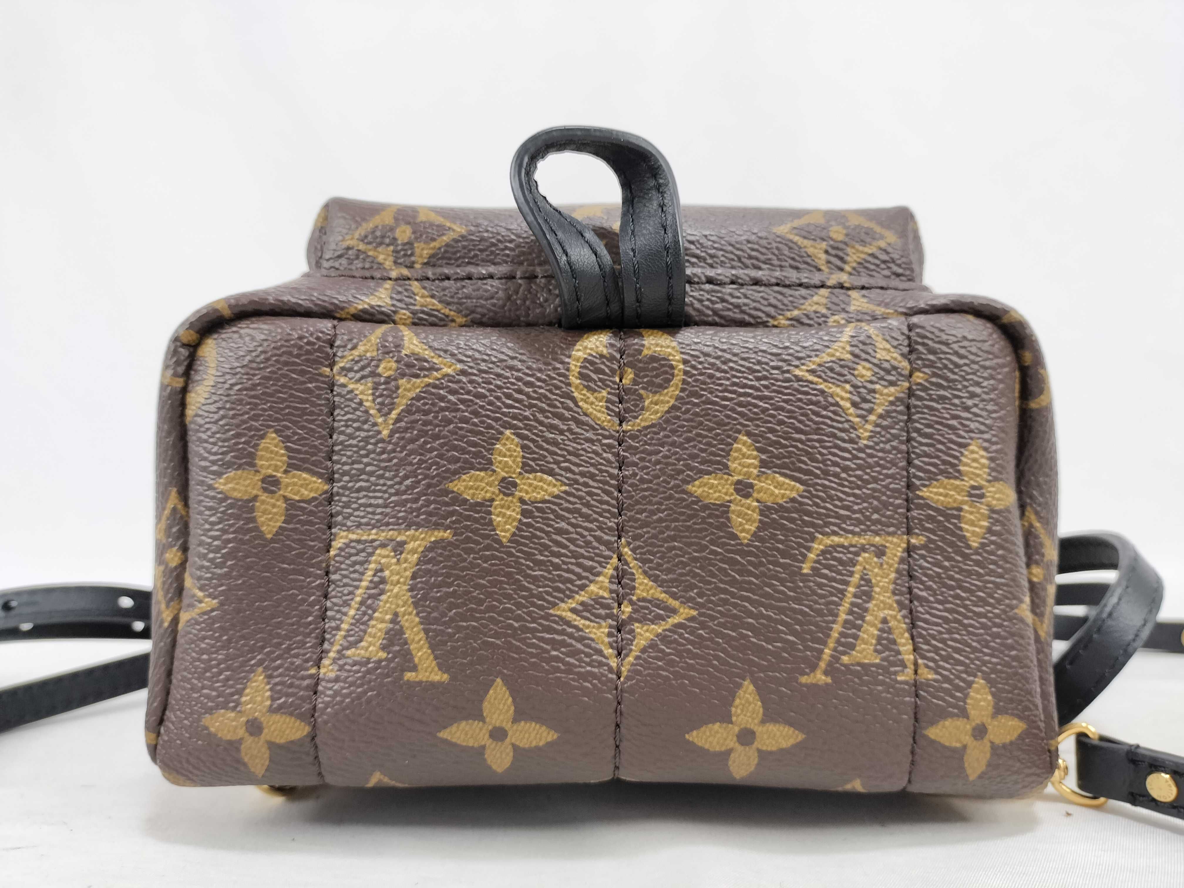 Monogram Louis Vuitton Monogram Backpack Palm Springs Backpack Mini M44873 Backpack — view 8