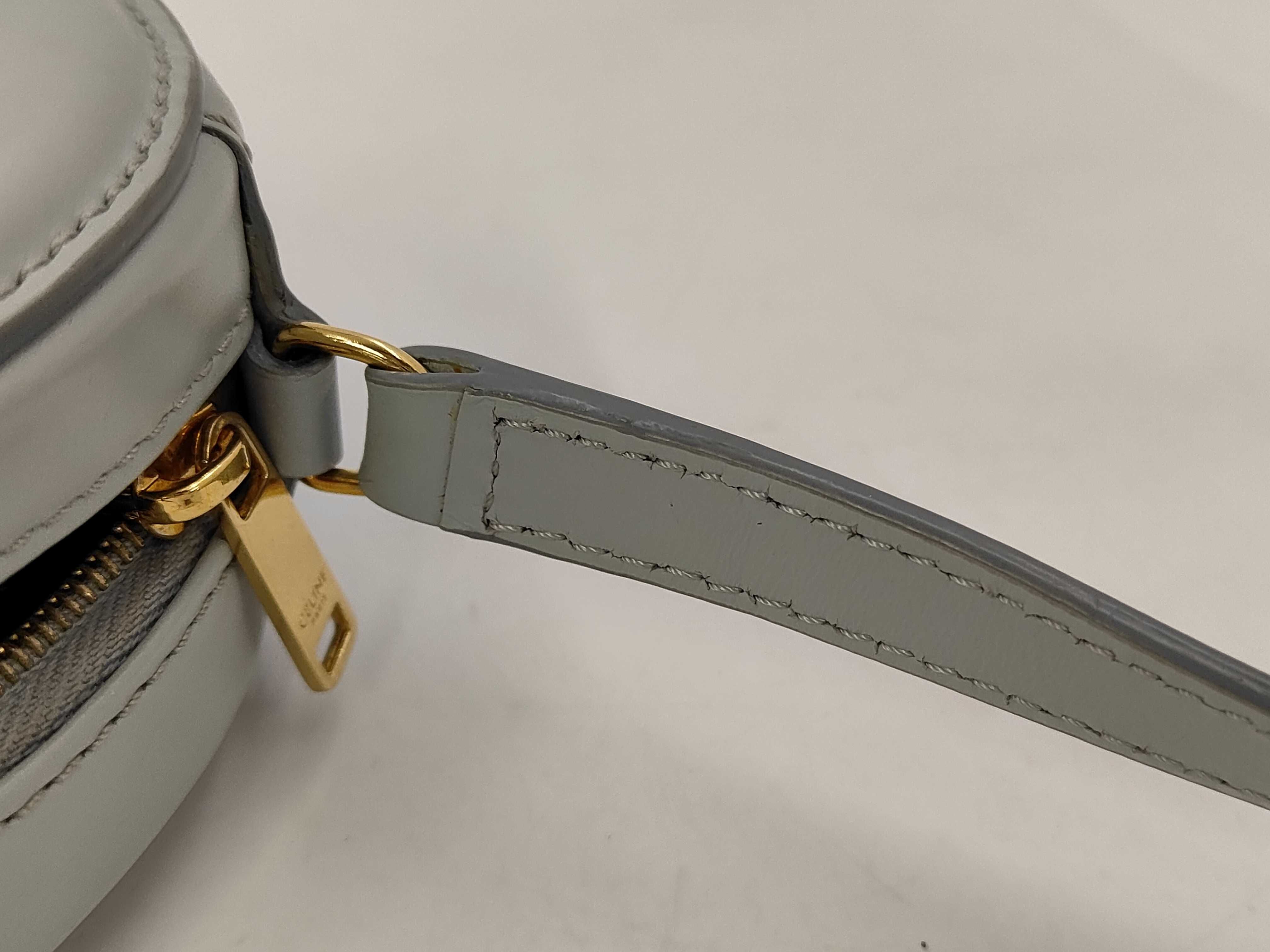 Light Blue Calf Oval Purse Cuir Triomphe Shoulder Bag — view 11