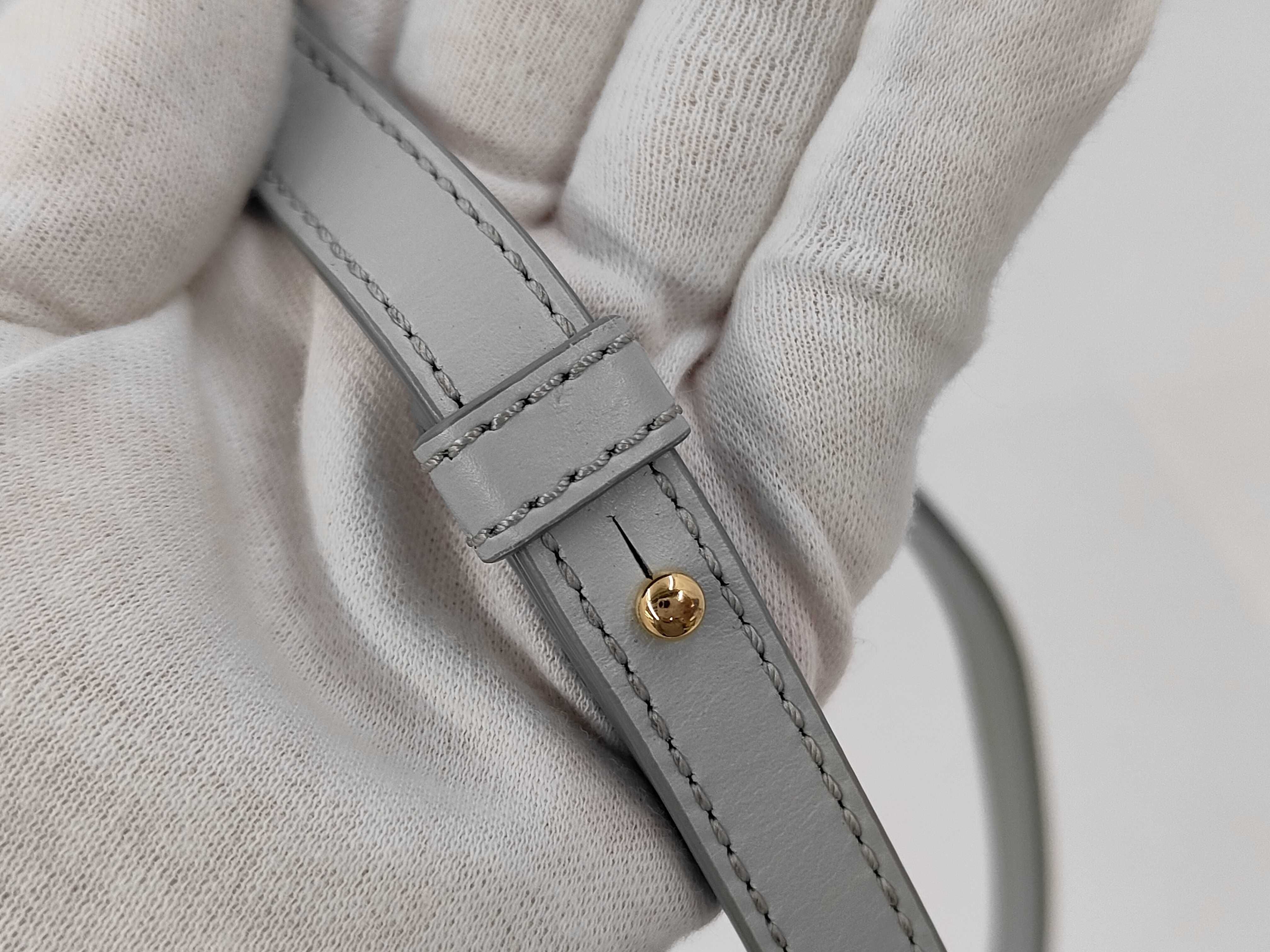 Light Blue Calf Oval Purse Cuir Triomphe Shoulder Bag — view 7