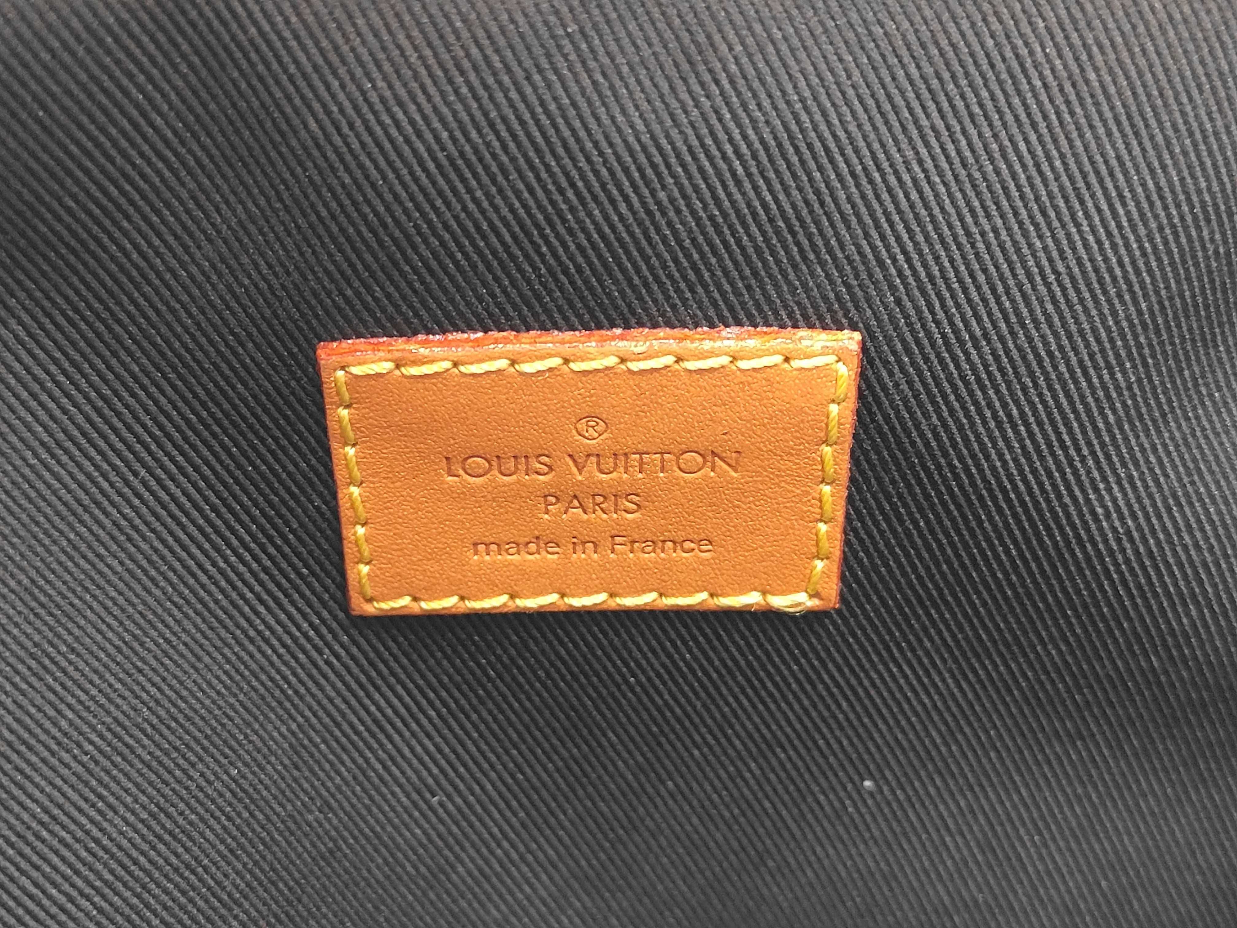 Damier Louis Vuitton NIGO Collaboration Amazon Sling Bag N40379 Shoulder Bag — view 10