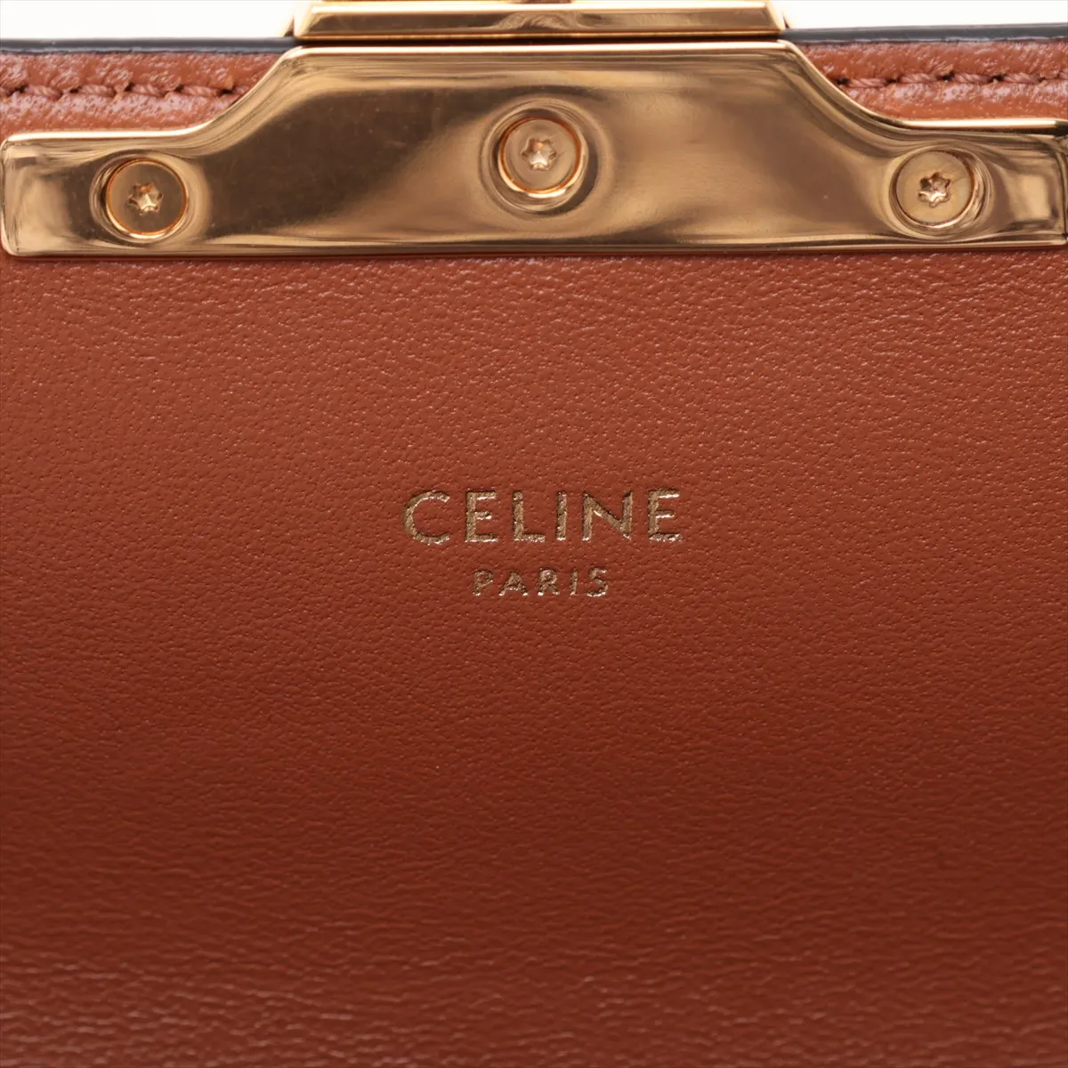 Triomphe Claude PVC Shoulder Bag, Brown — view 8