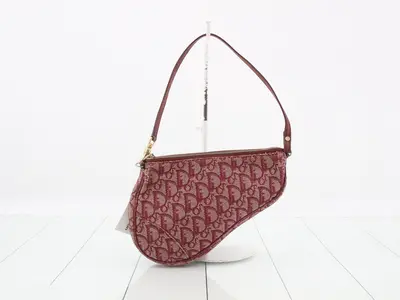 Trotter Saddlebag Handbag
