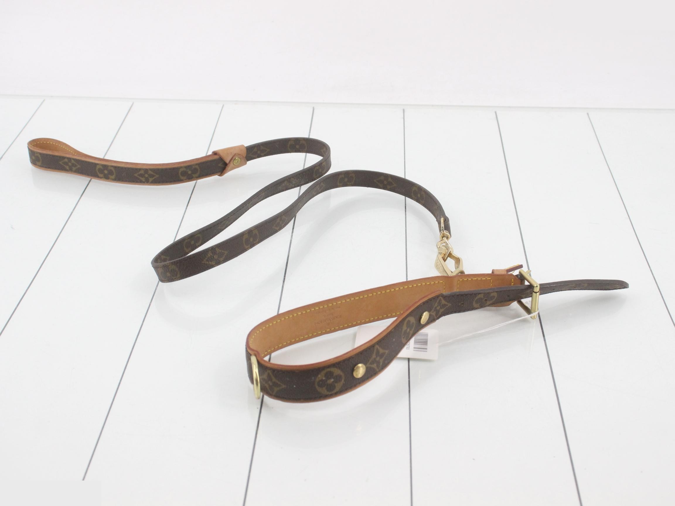 belt — view 2