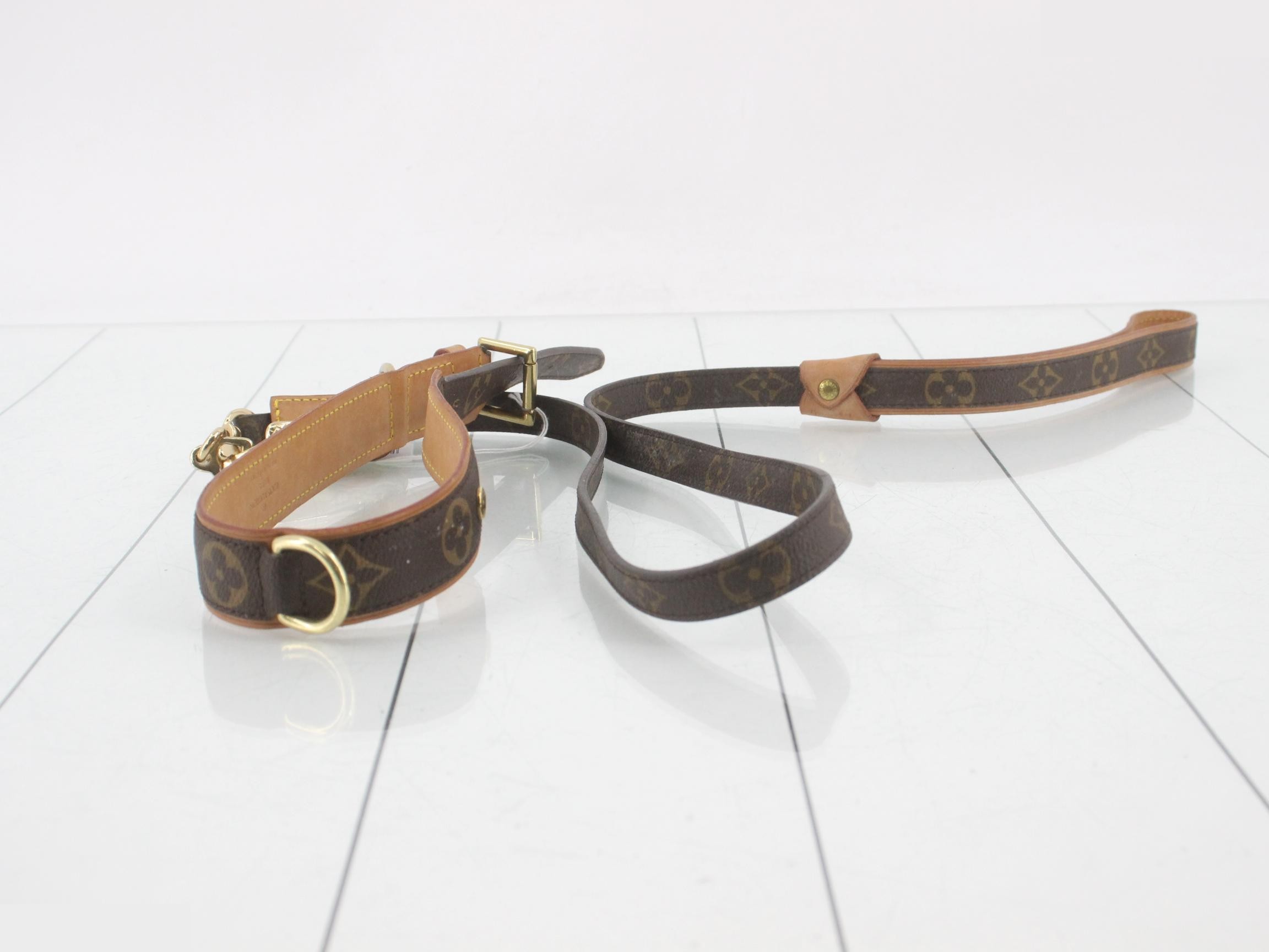 belt — view 3