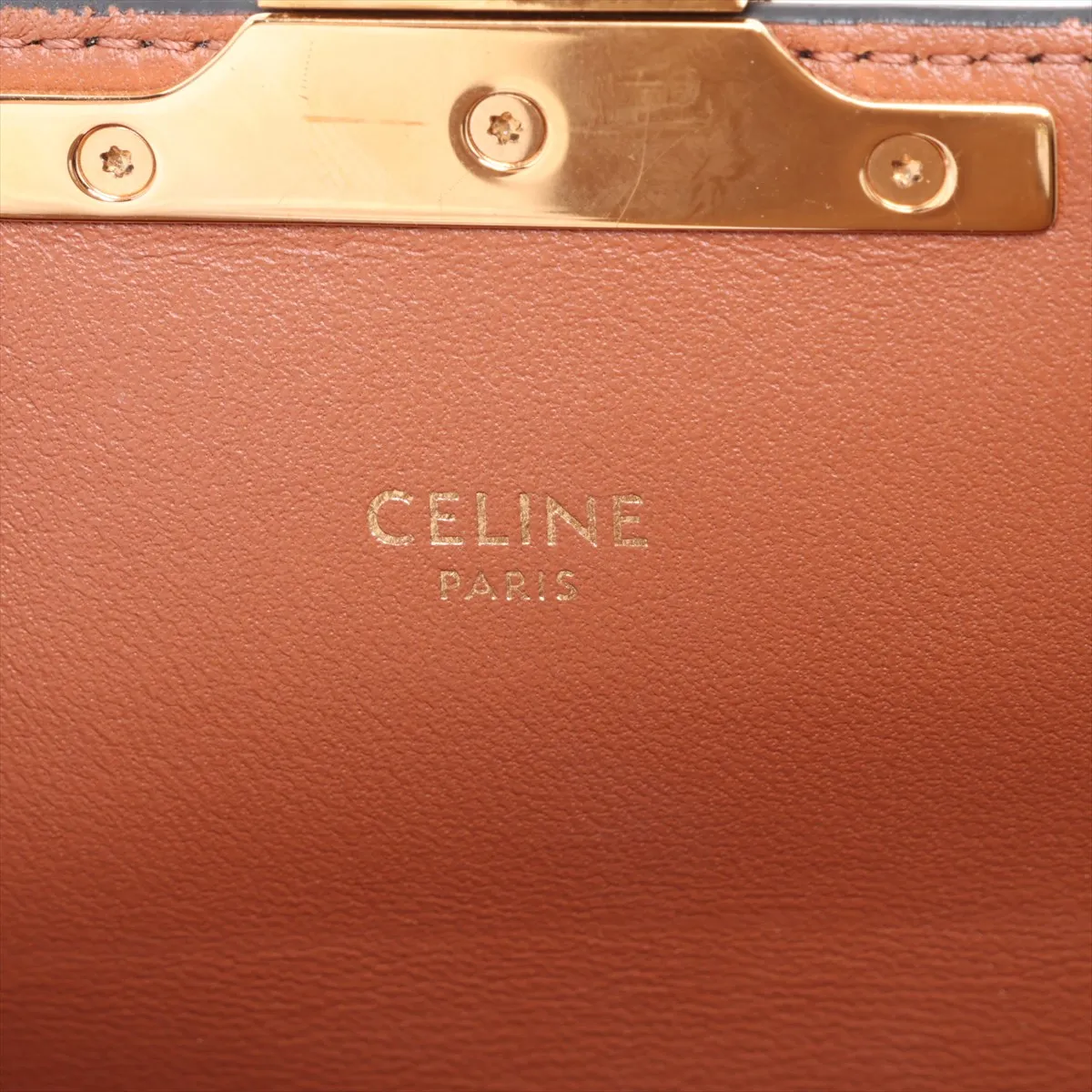 Triomphe Claude PVC x Leather Shoulder Bag, Brown — view 9
