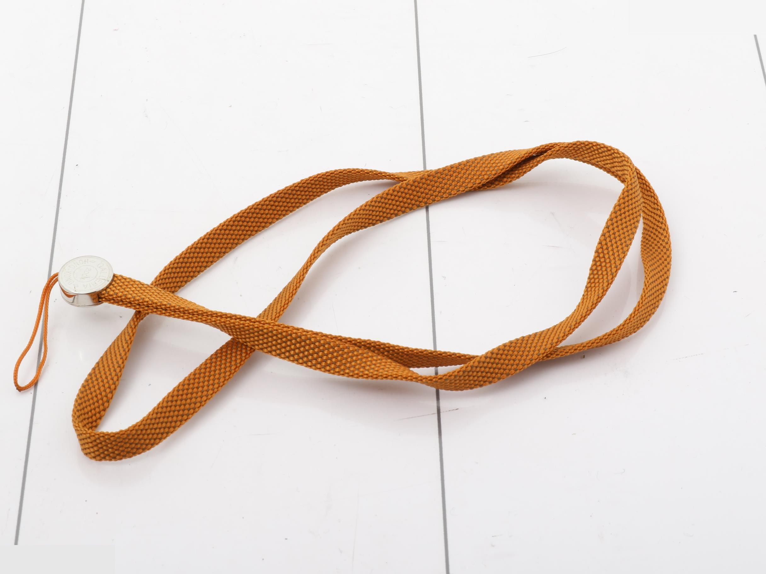 strap — view 2