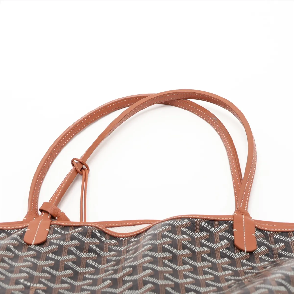 Saint Louis GM PVC x Leather Tote Bag, Brown — view 6