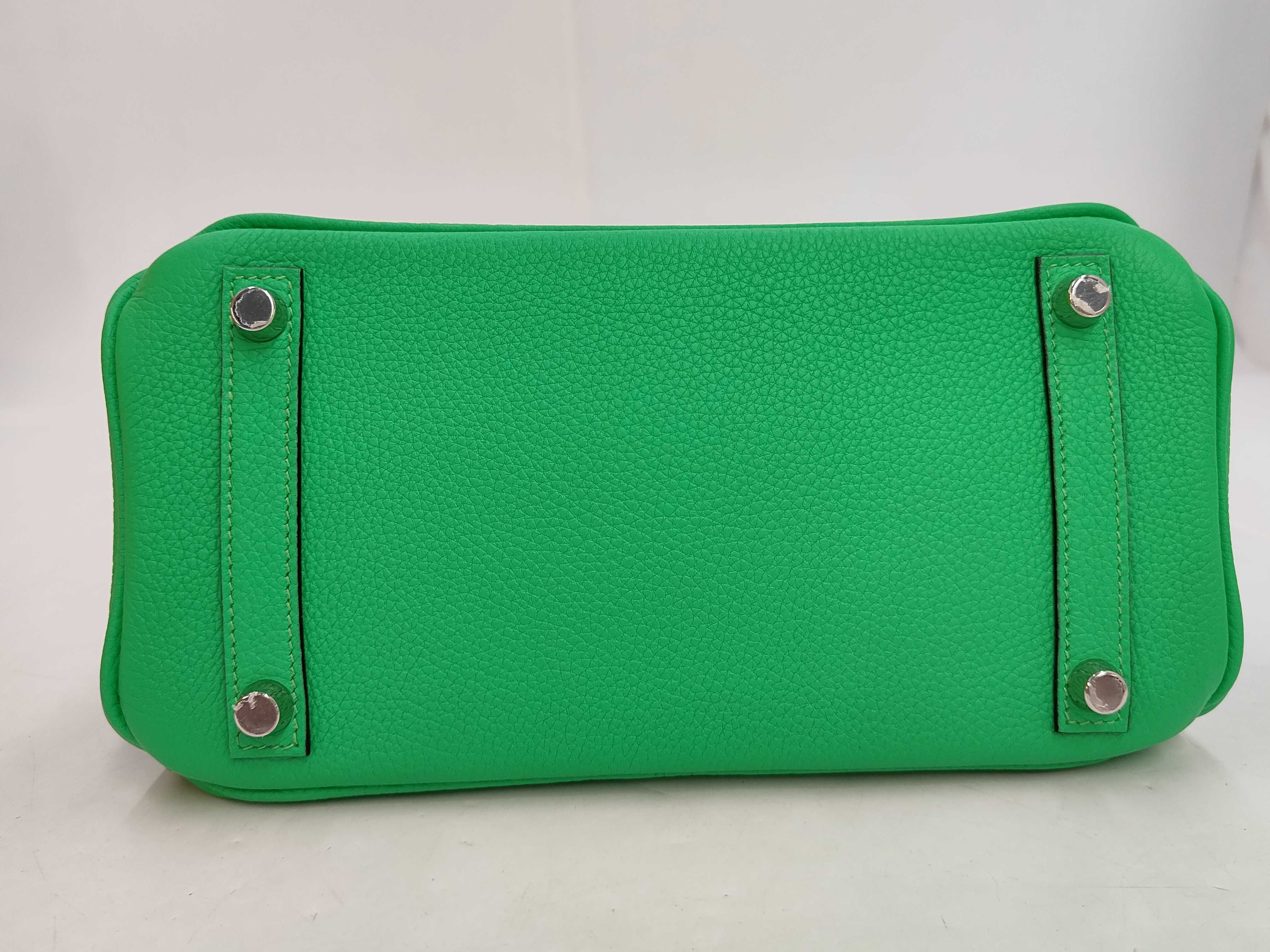 Birkin 25 PM25100422 Handbag — view 4